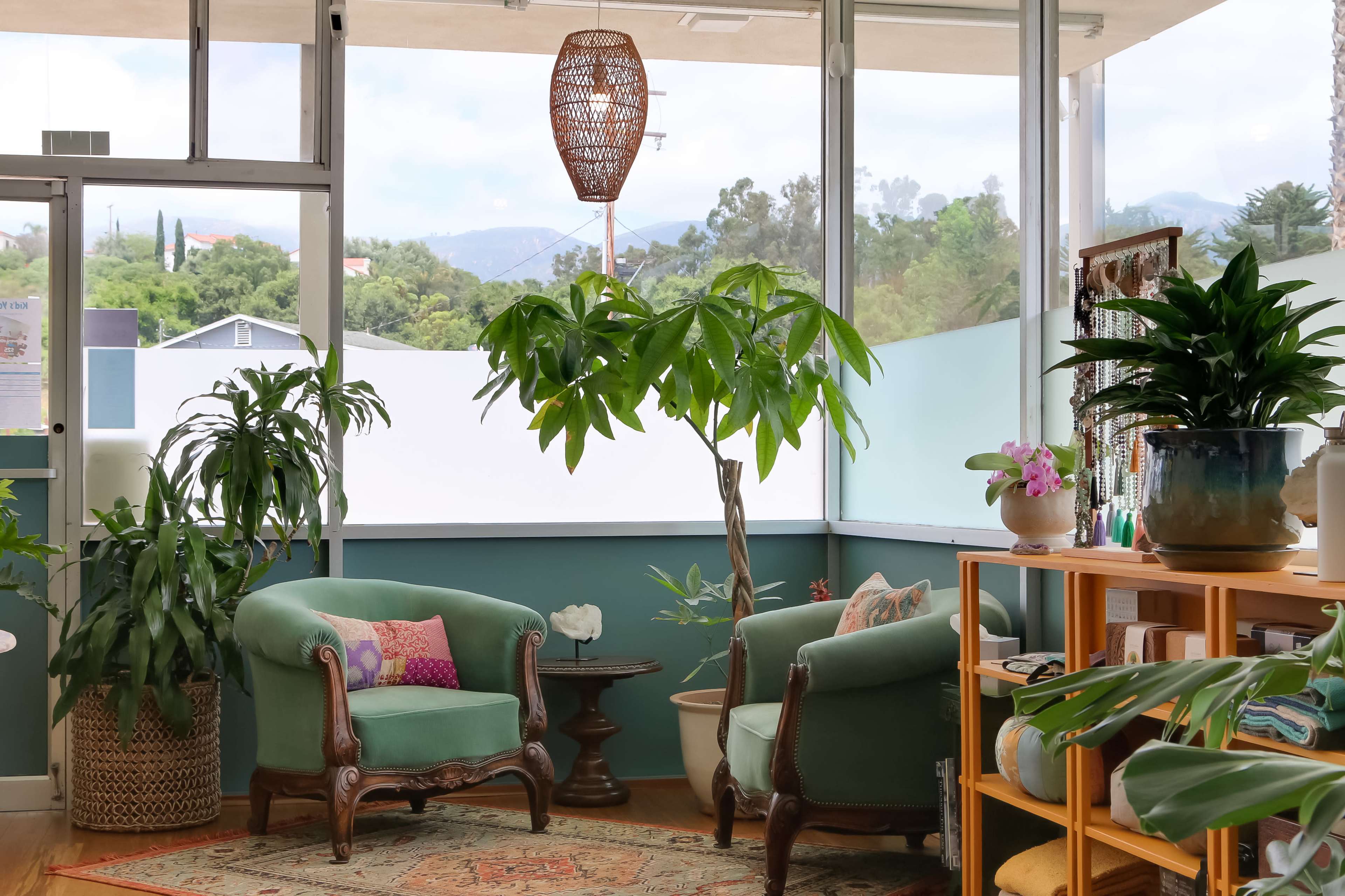 The image shows a bright interior of a room with green chairs, a tall potted plant, wooden shelves with decorative items, and large windows letting in natural light.