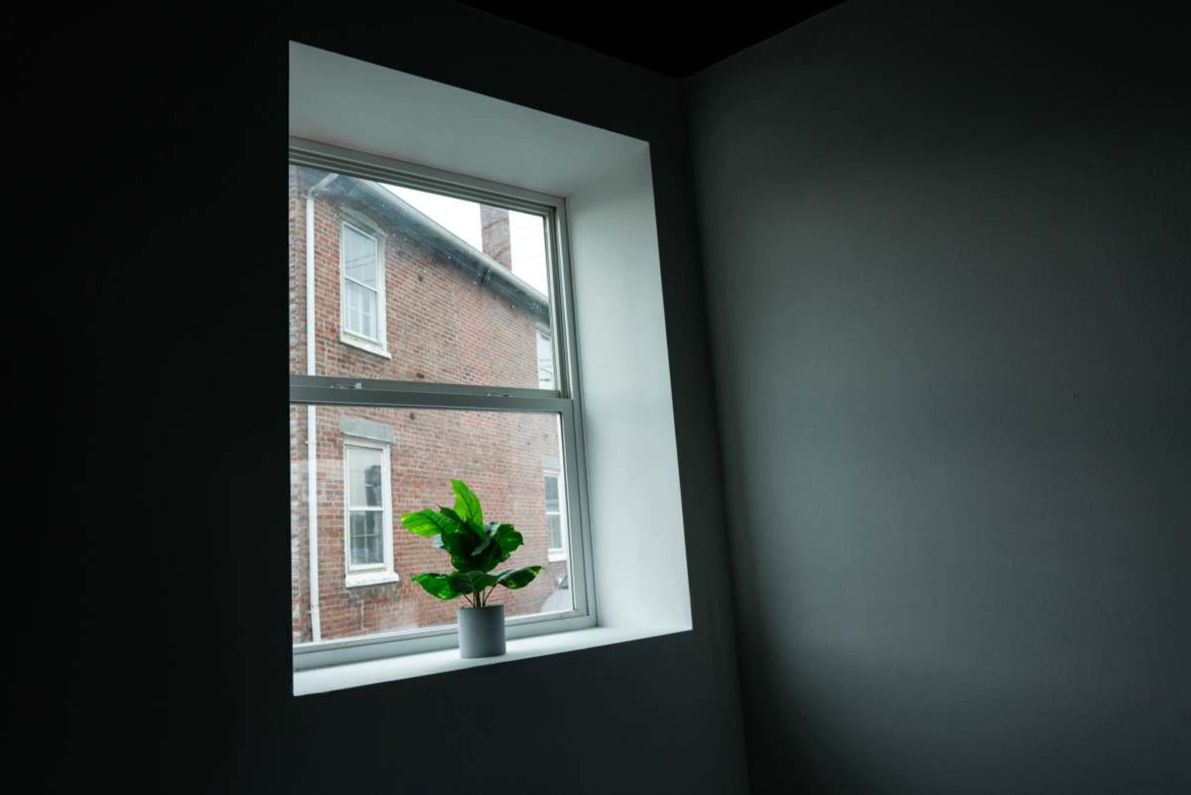 A potted plant sits on a windowsill inside a room with a view of a brick building outside.