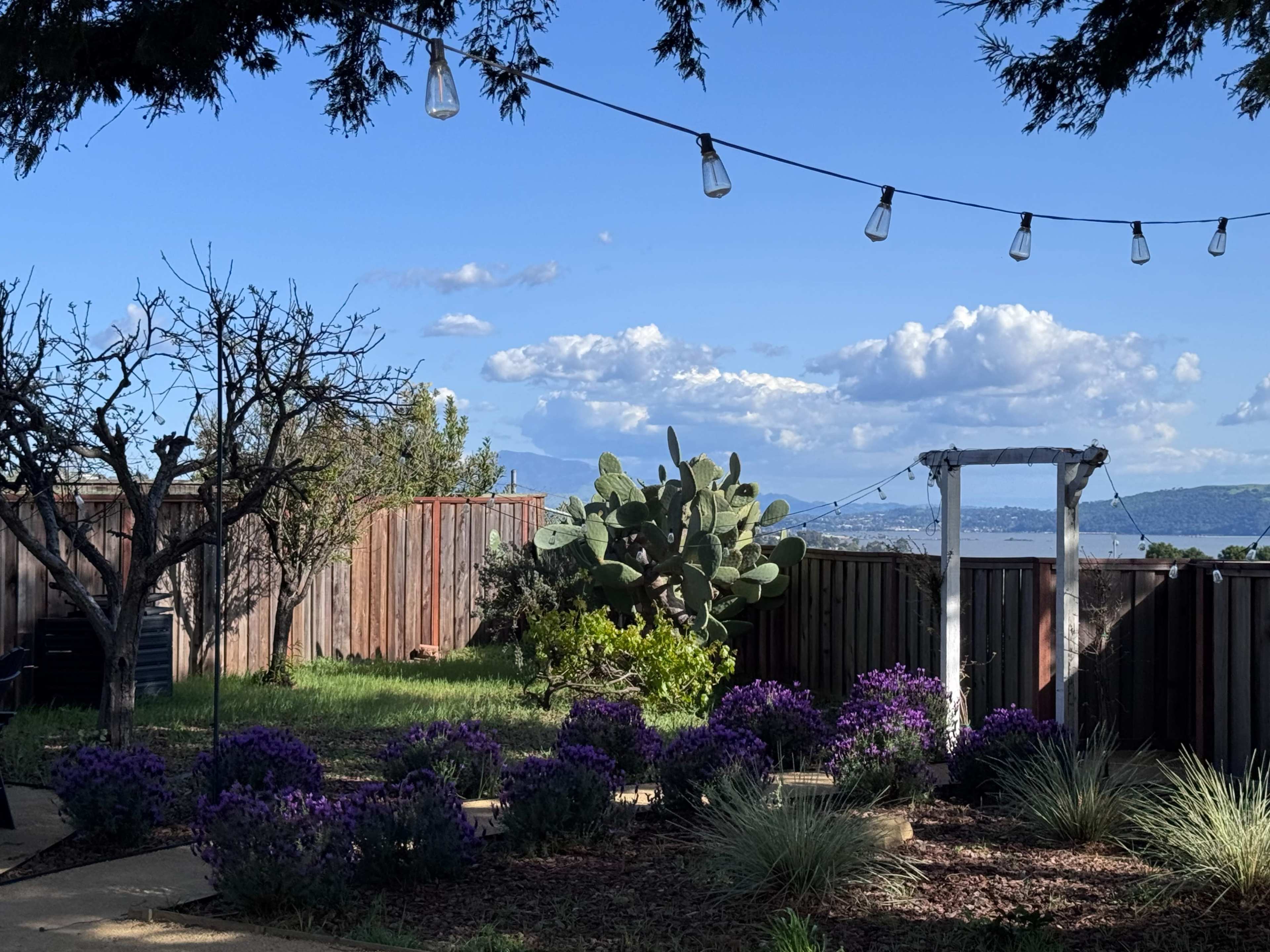 Hillside Garden with Views Image in Vallejo, Vallejo, CA