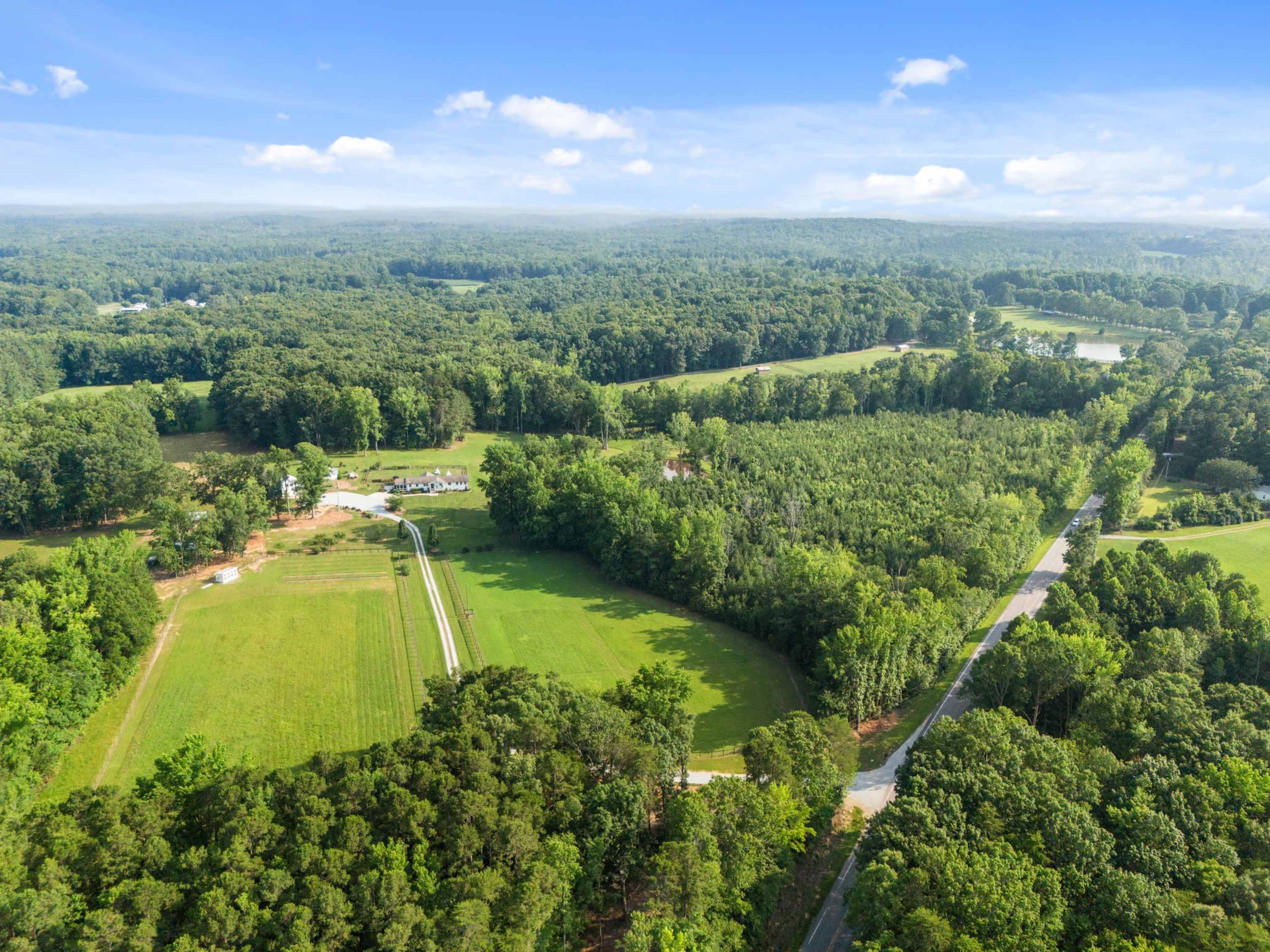 The image shows a vast green landscape with dense forests, open fields, and a winding road bordered by trees under a clear blue sky.