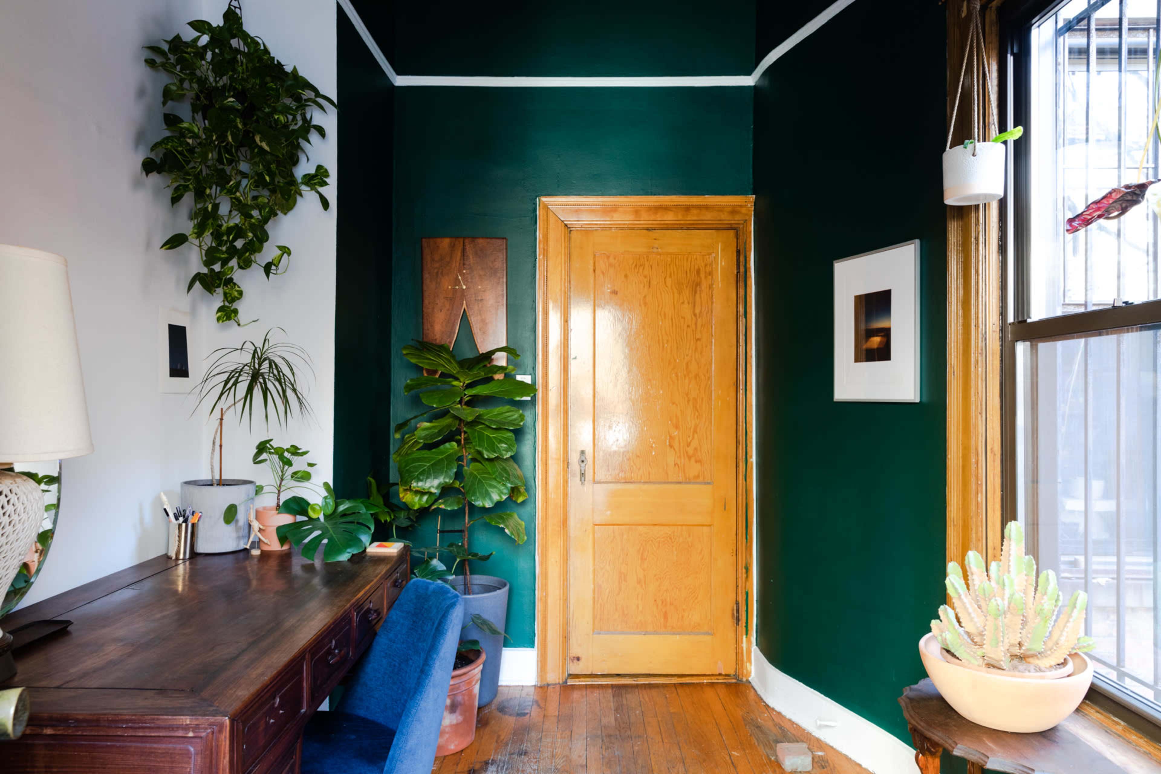 A corner of a room features a wooden desk, a plant-filled area, and a wooden door against a dark green wall.