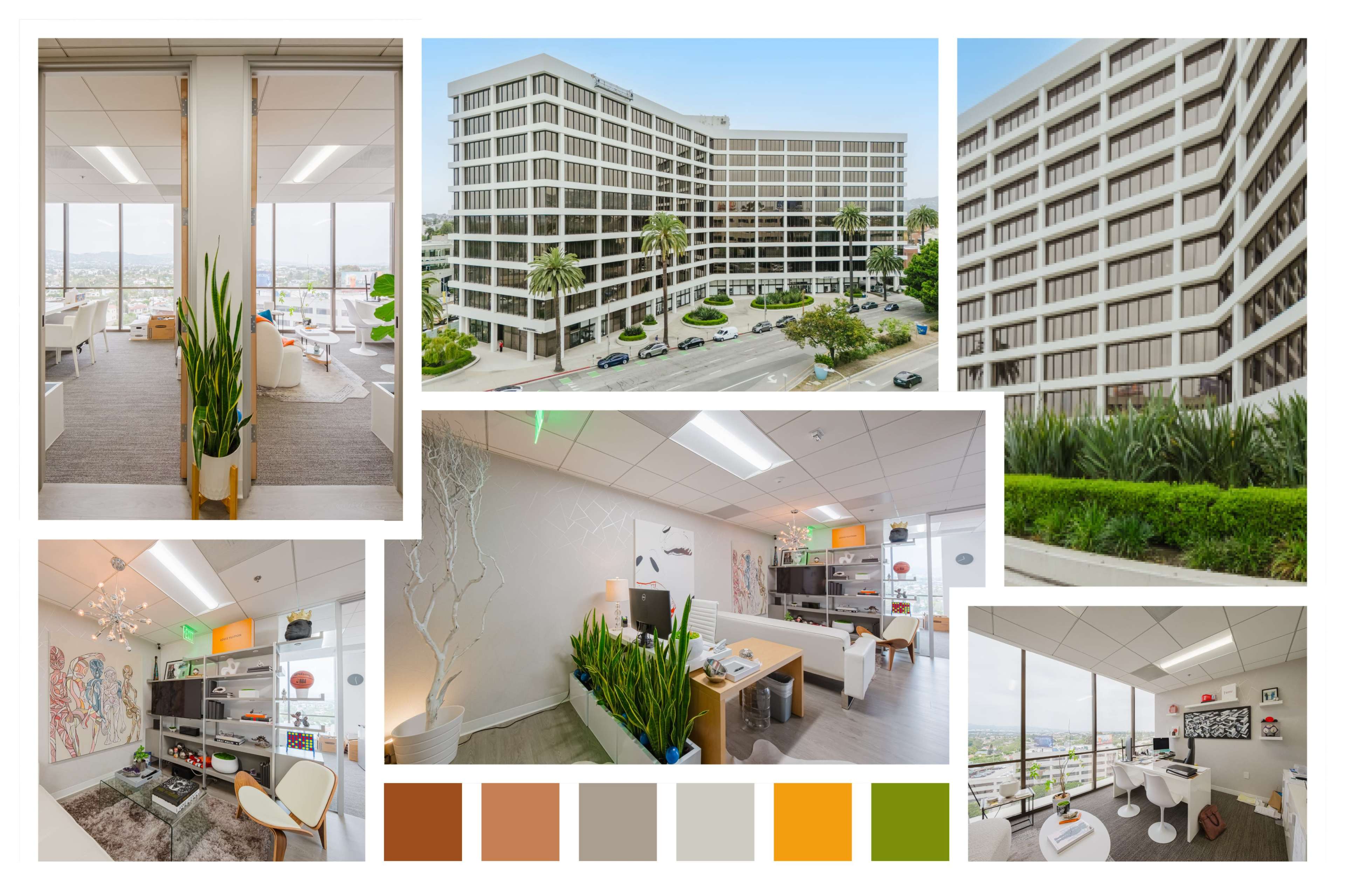 A modern office environment featuring various spaces, including a reception area, workstations, and windows with views of a cityscape and landscaping outside a contemporary building.