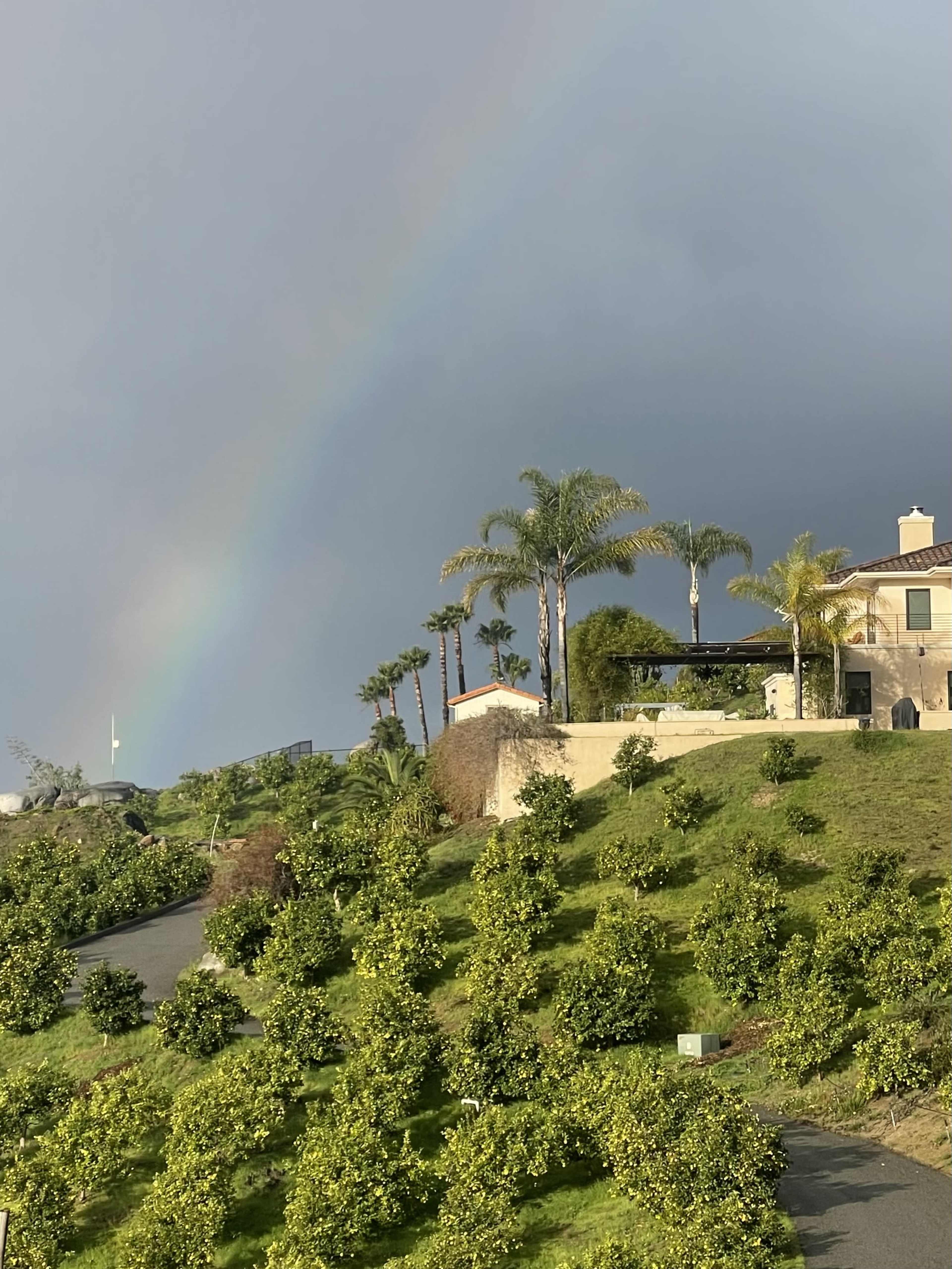 Lemon Farm with Mediterranian Views Image in Bonsall, Bonsall, CA