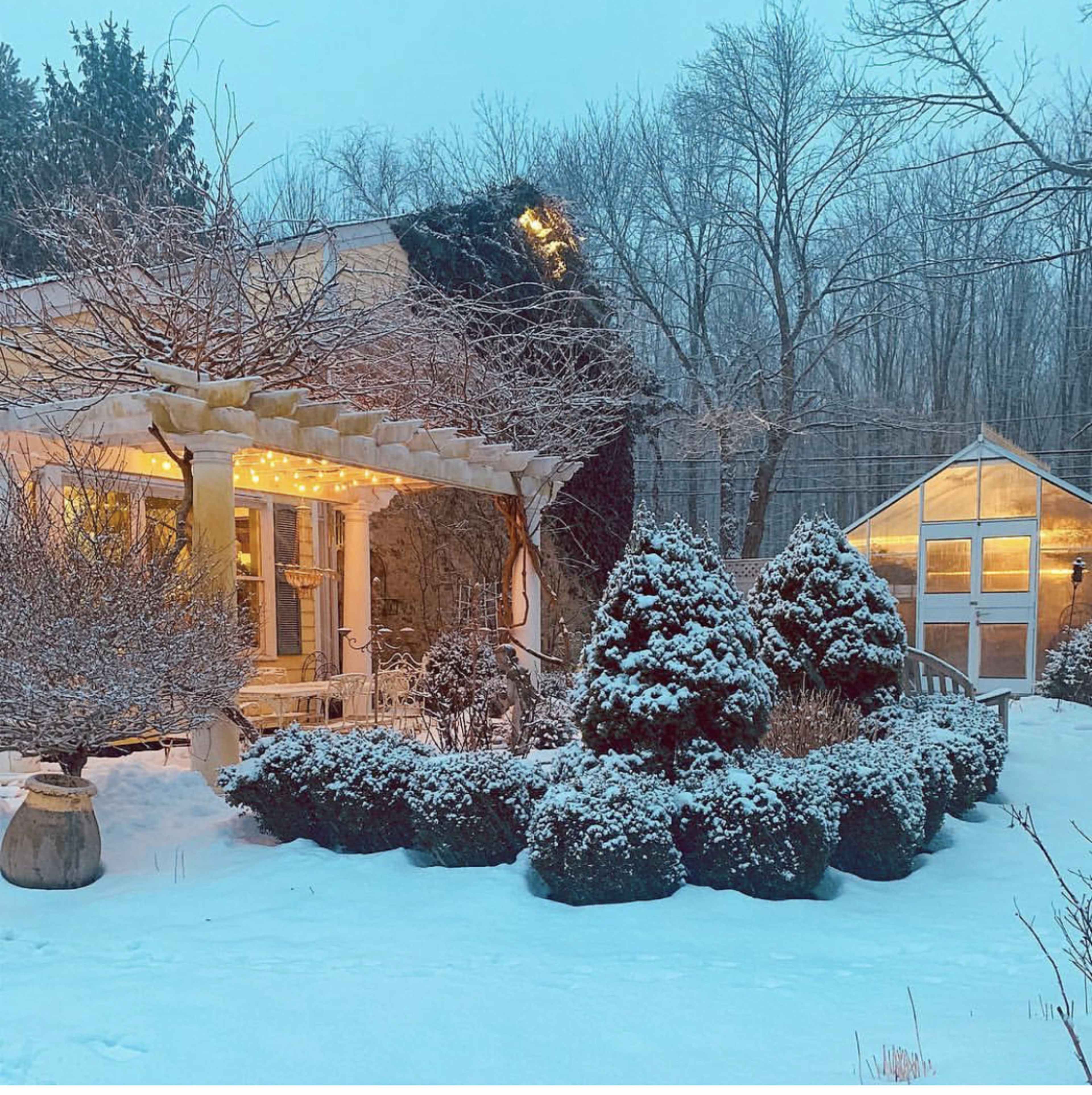 A snow-covered garden features neatly trimmed evergreens and a cozy house adorned with string lights under a blue, wintry sky.