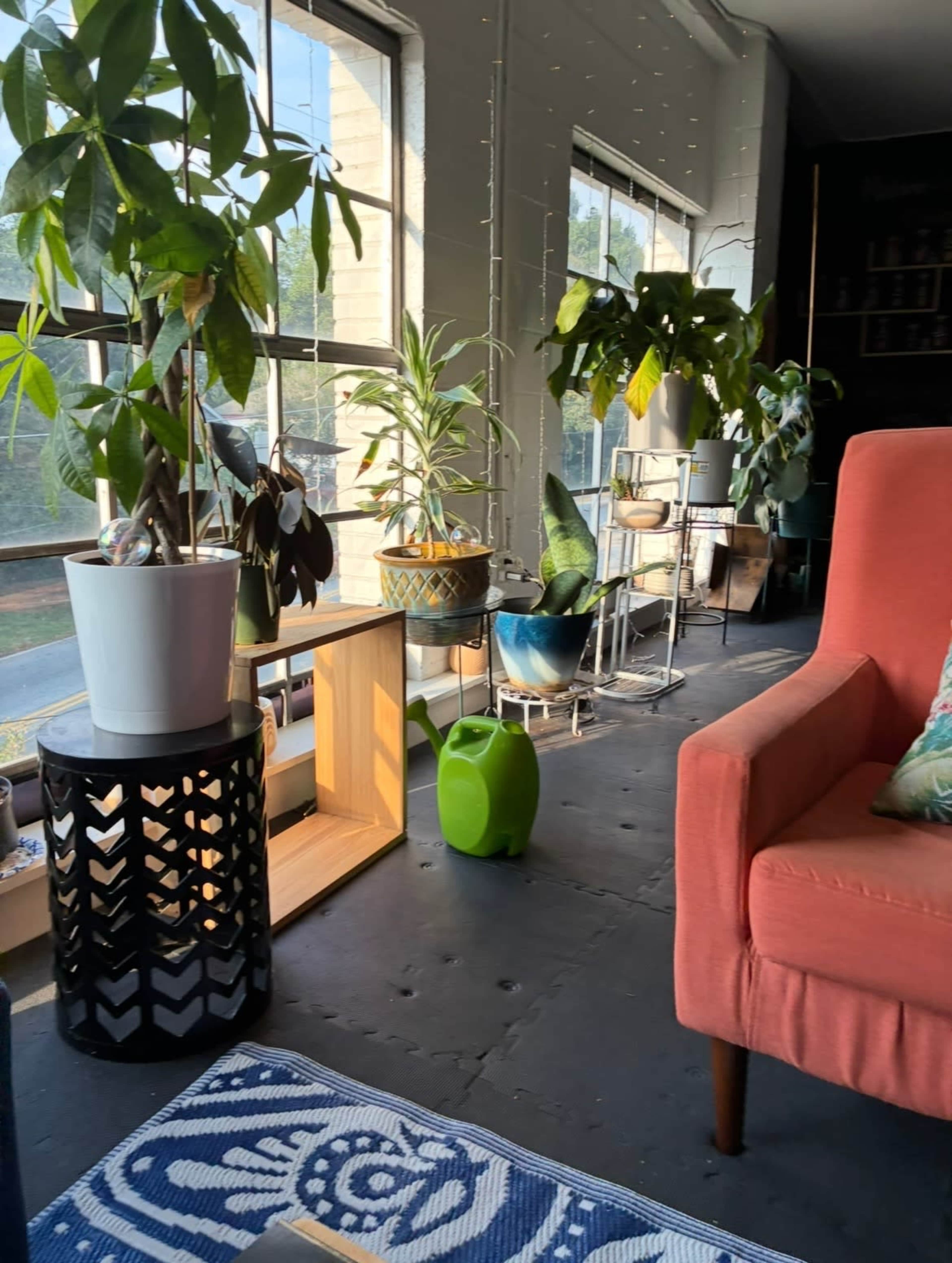The image captures a cozy living space featuring a pink armchair, various potted plants, and large windows that allow natural light to fill the room.