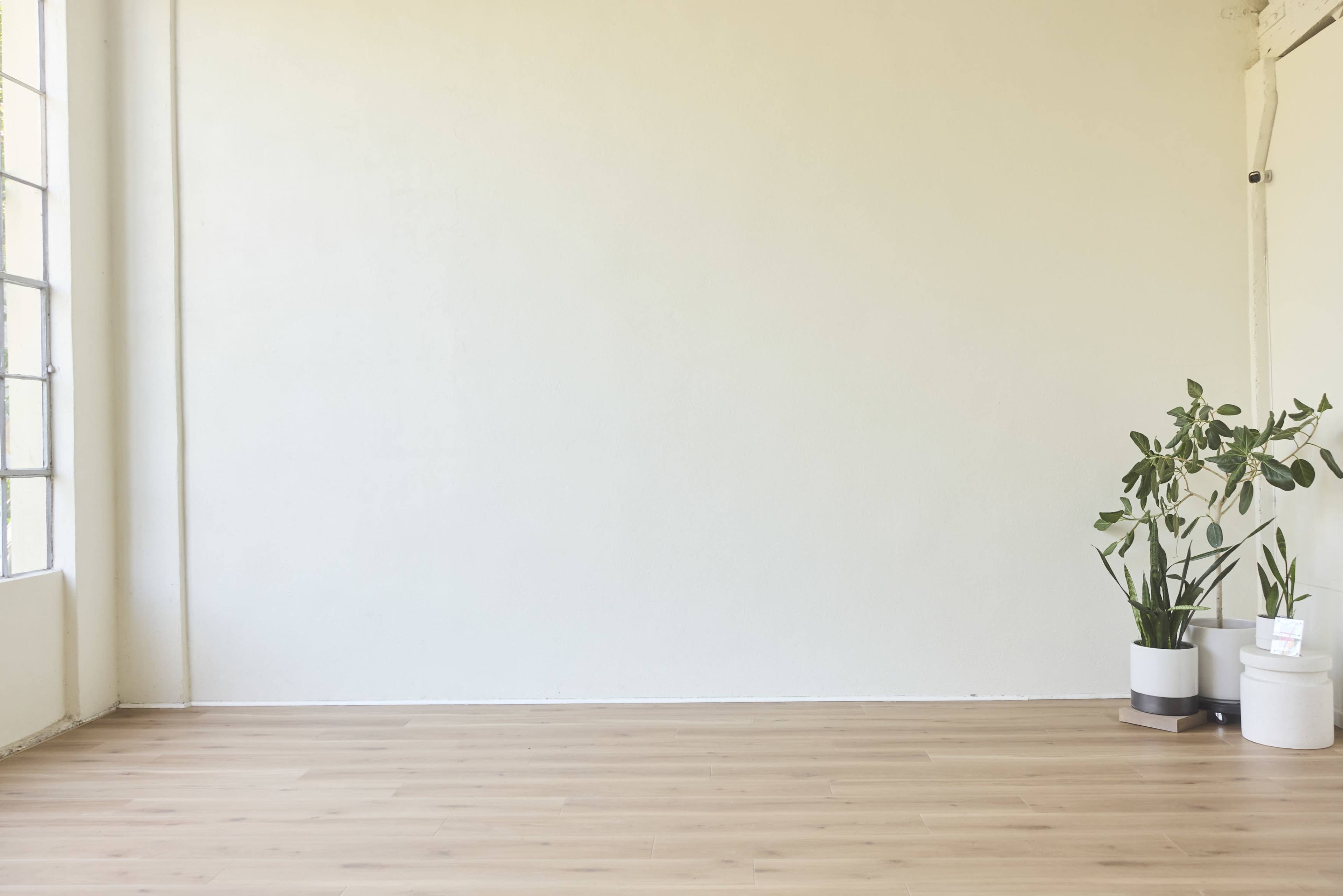 A spacious room with a light-colored wall, wooden flooring, and a potted plant in the corner.