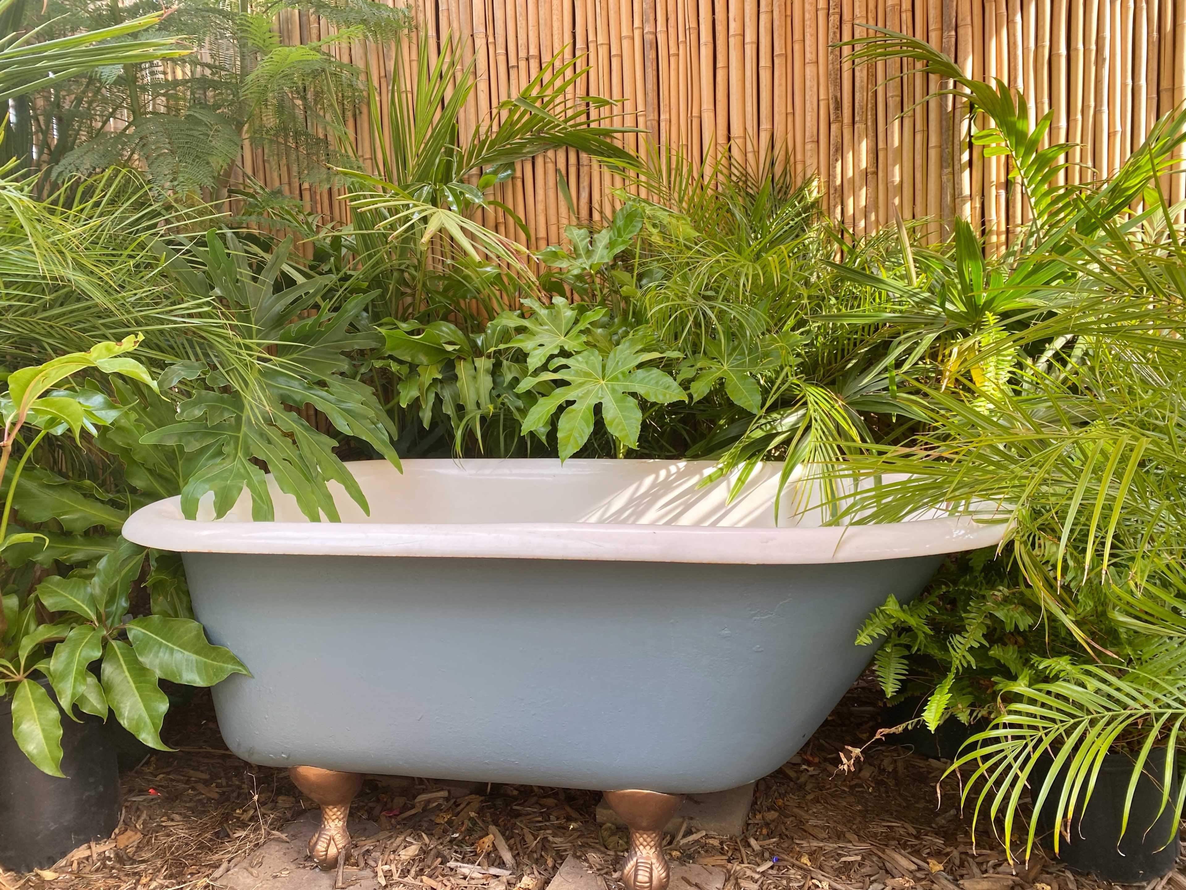 A vintage clawfoot bathtub is surrounded by lush green plants in a garden setting.