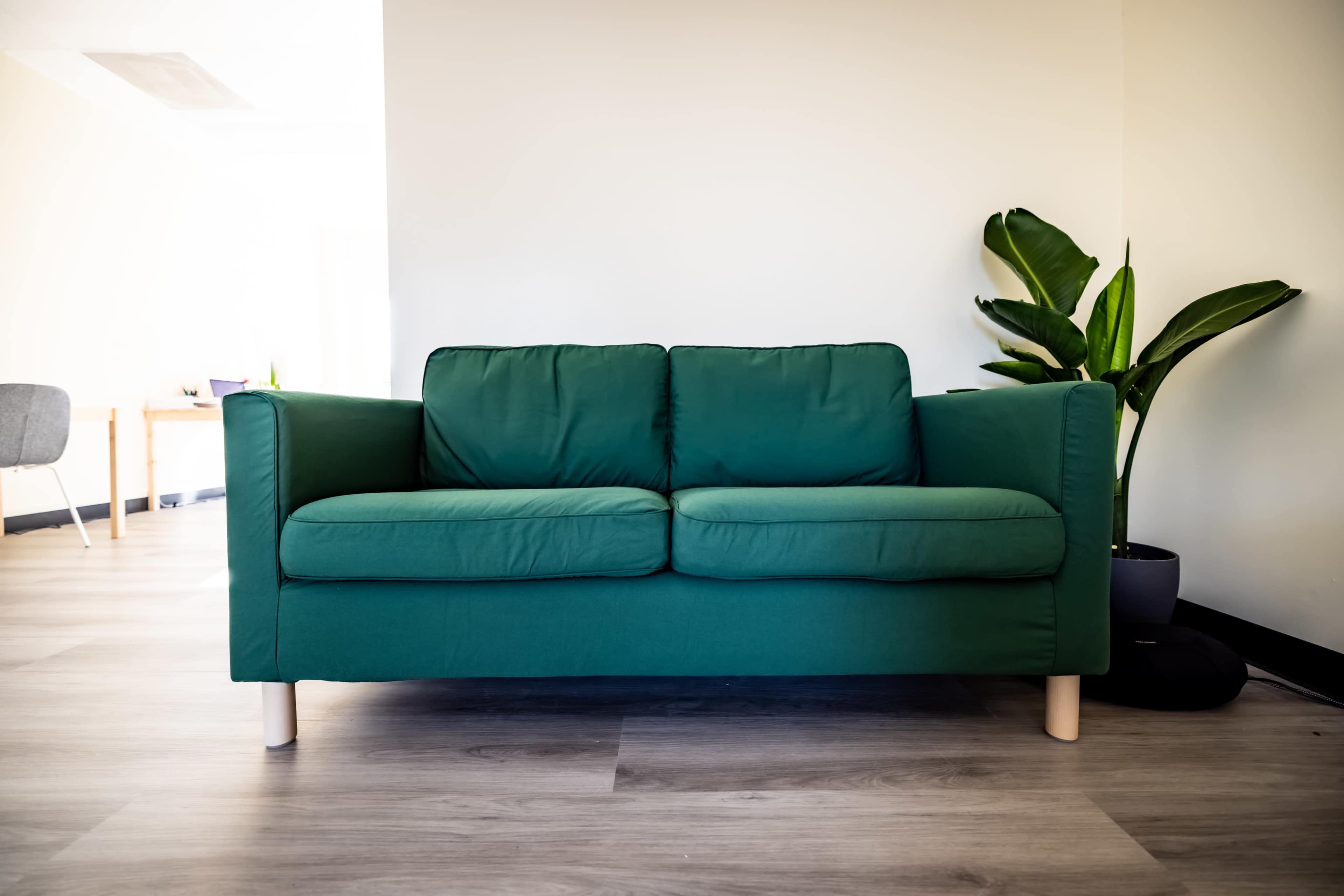 A green couch with two cushions is positioned against a light-colored wall, accompanied by a potted plant in the background.