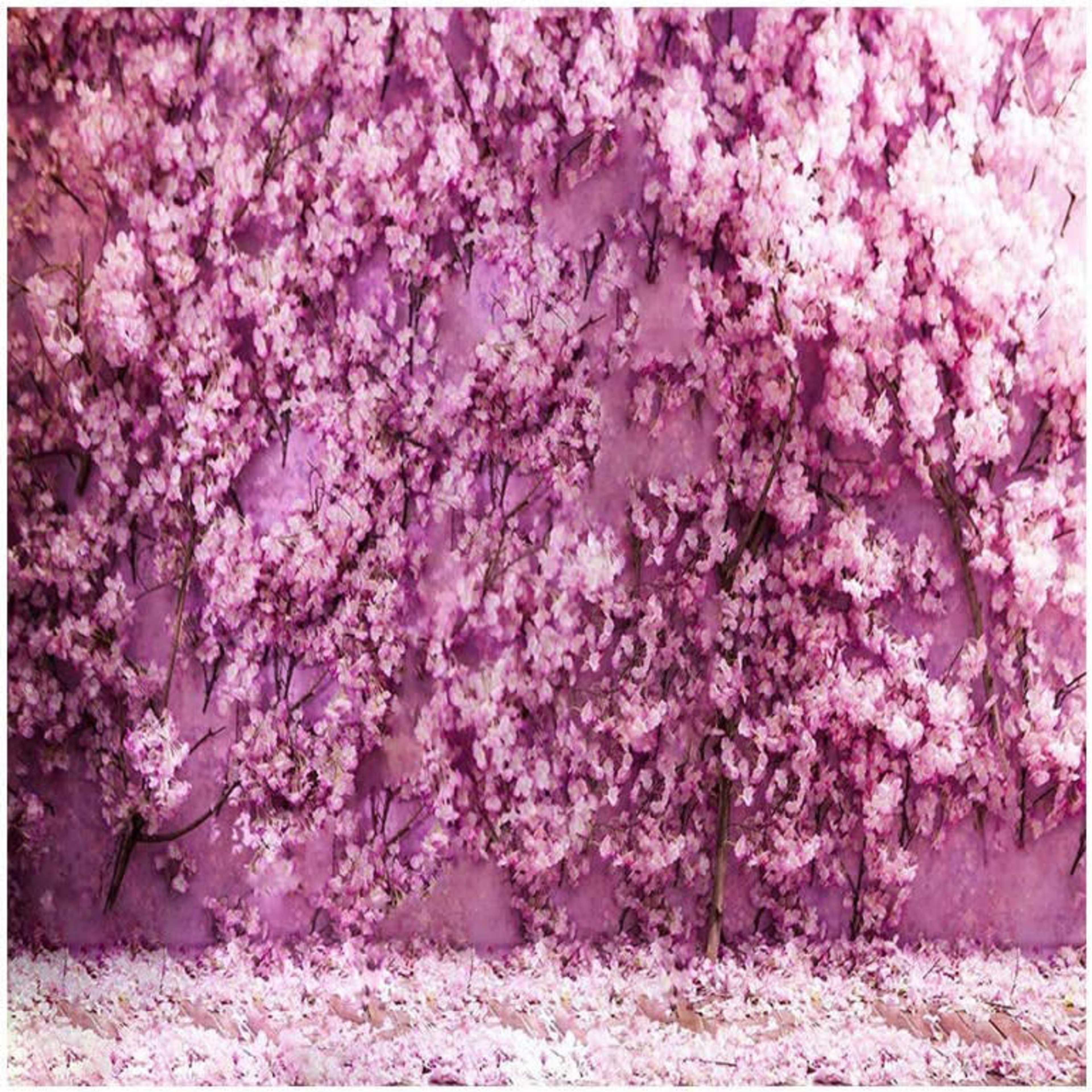 A wall covered in pink flowering trees, with petals scattered across the ground.