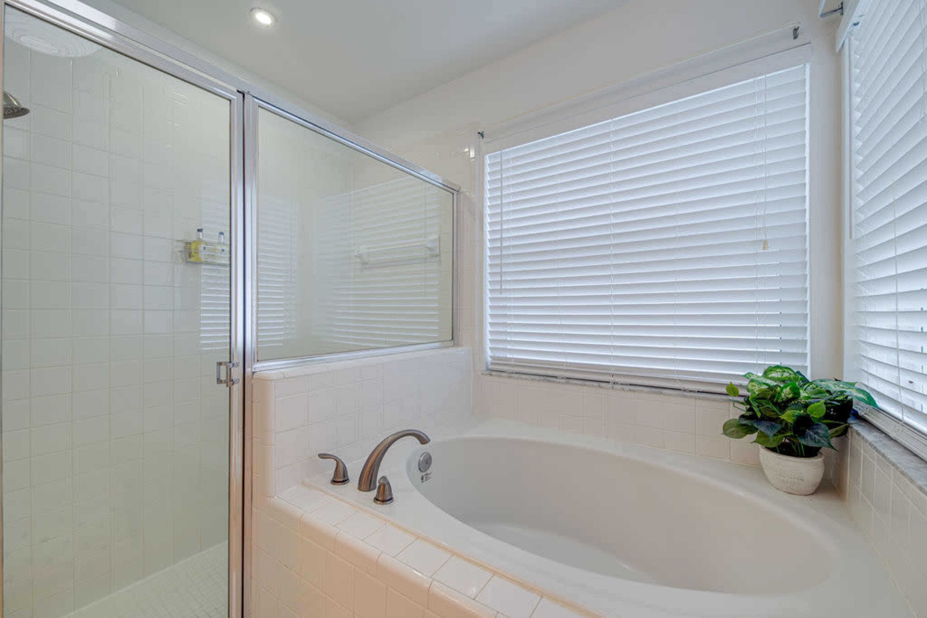 The image shows a bathroom with a glass shower enclosure, a bathtub, and window blinds, along with a potted plant on the countertop.