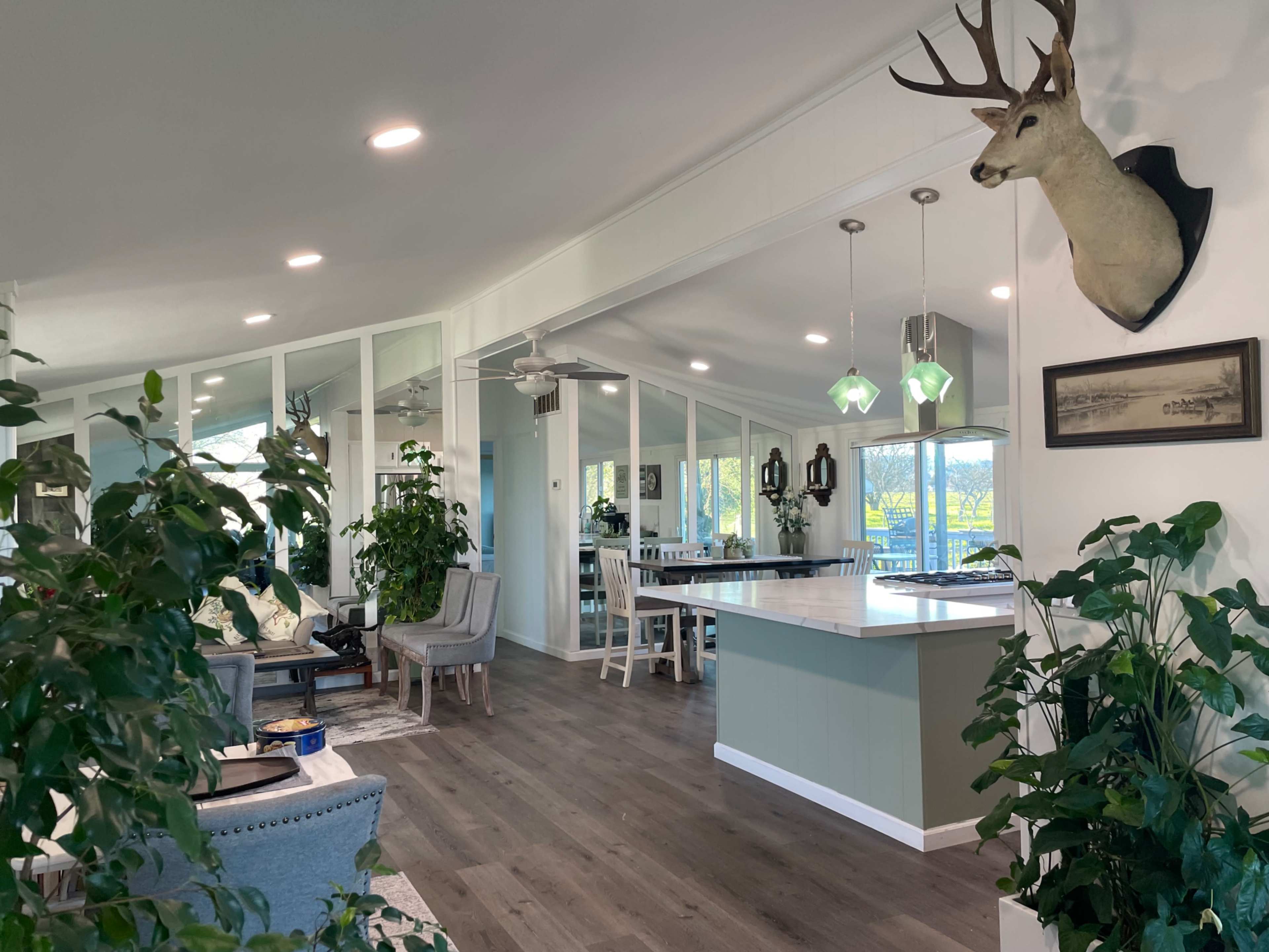 A modern living space with a kitchen area, greenery throughout, and a mounted deer head on the wall.