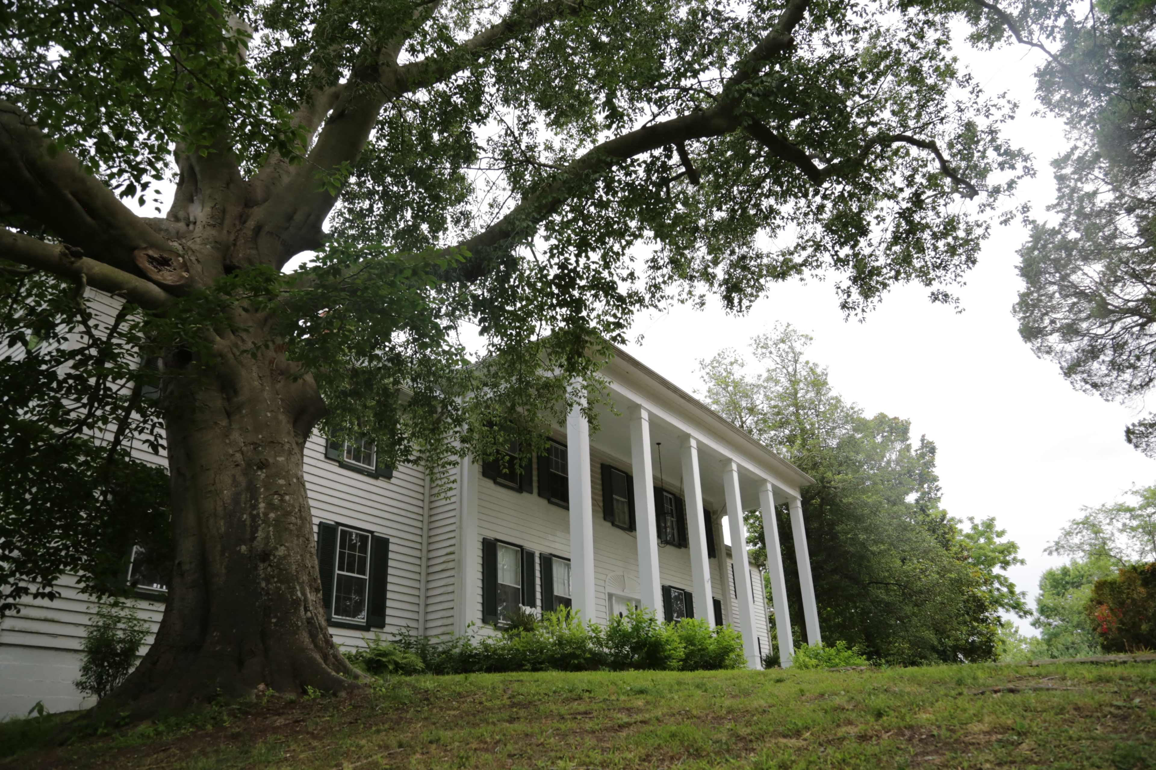 A large white house with six columns stands on a gentle slope beside a prominent tree.