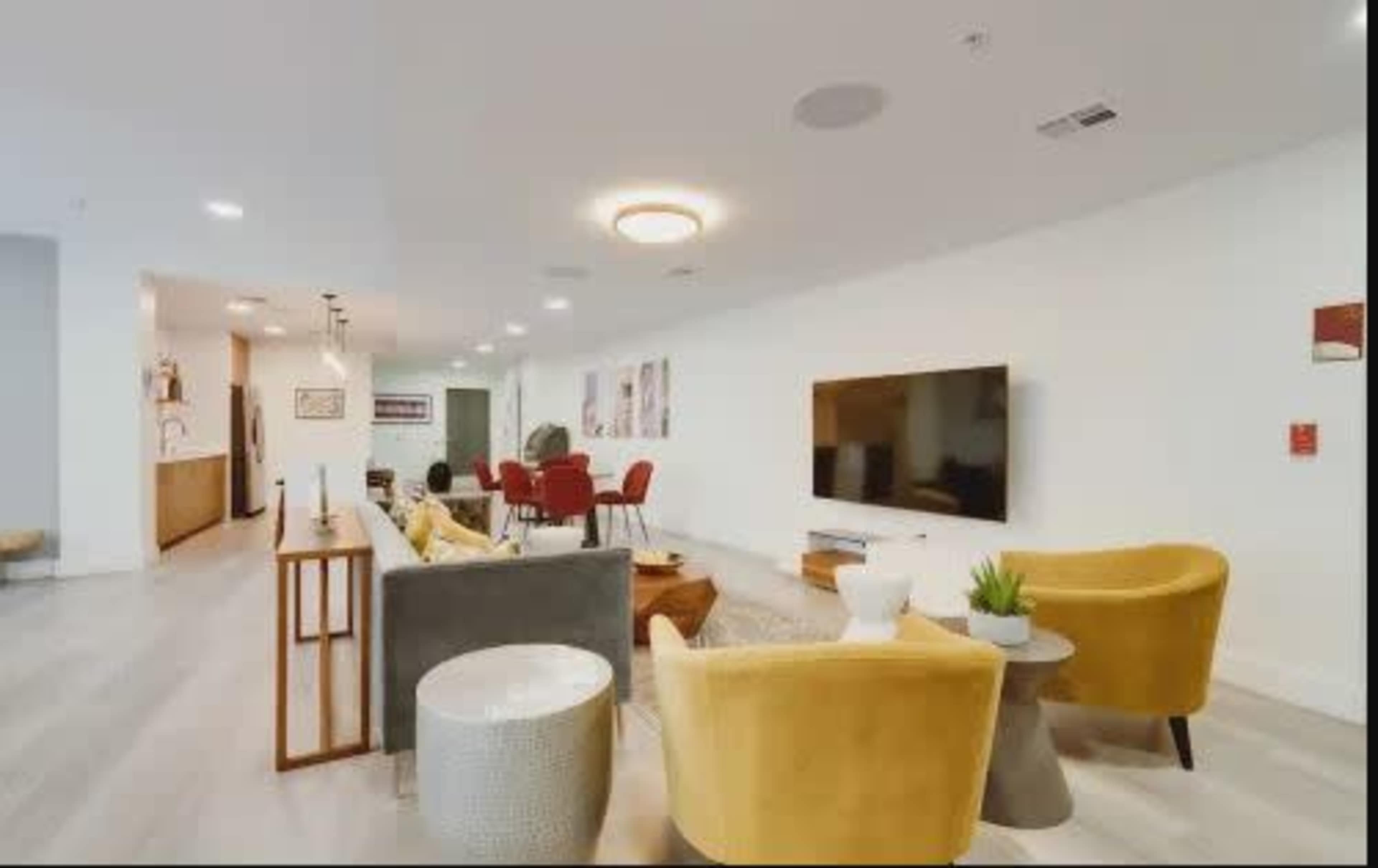 Contemporary Club Room in Tampa Image in Northwest Tampa, Tampa, FL