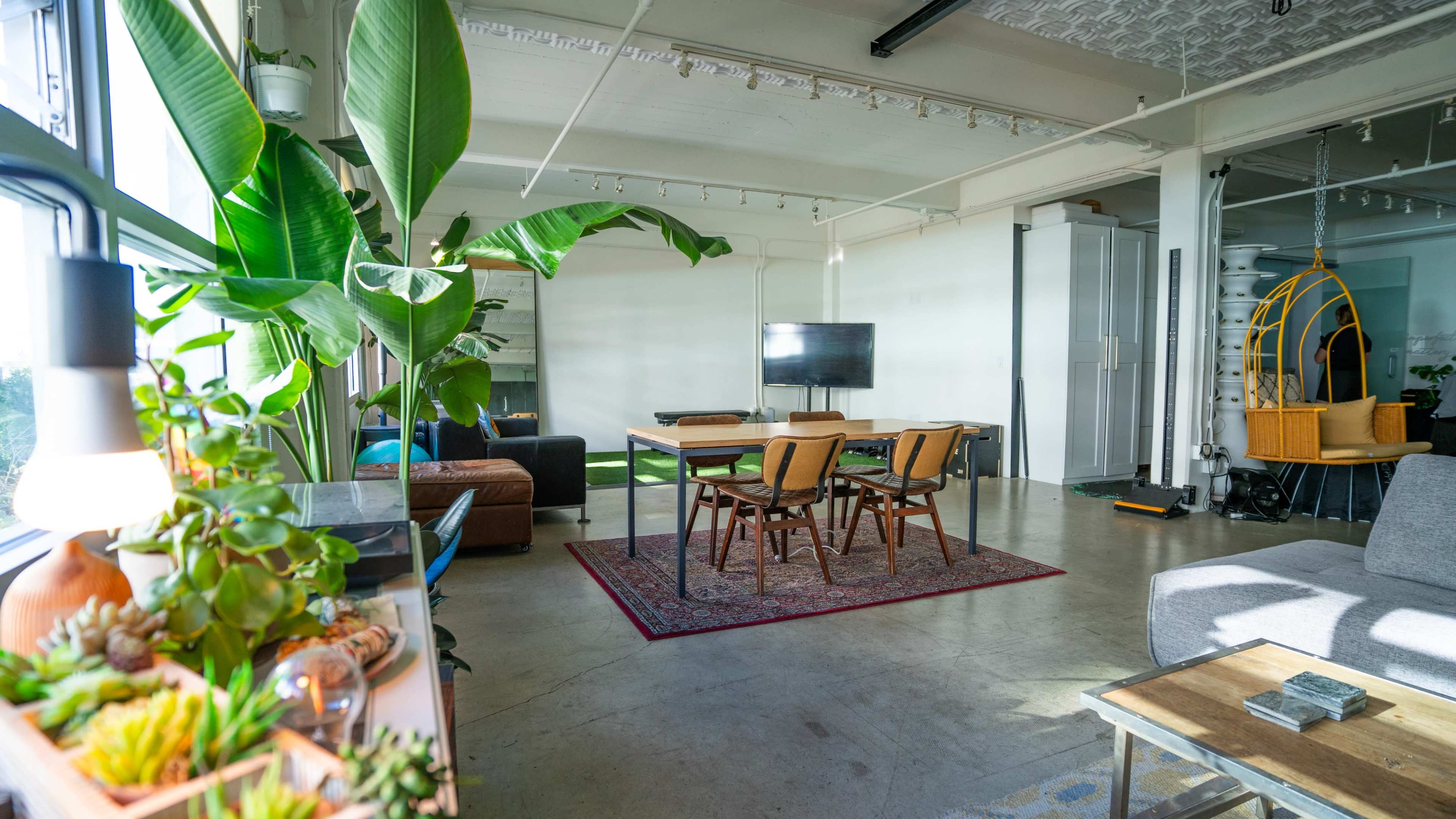 A modern, open workspace with a large table, chairs, a television, plants, and various seating areas.