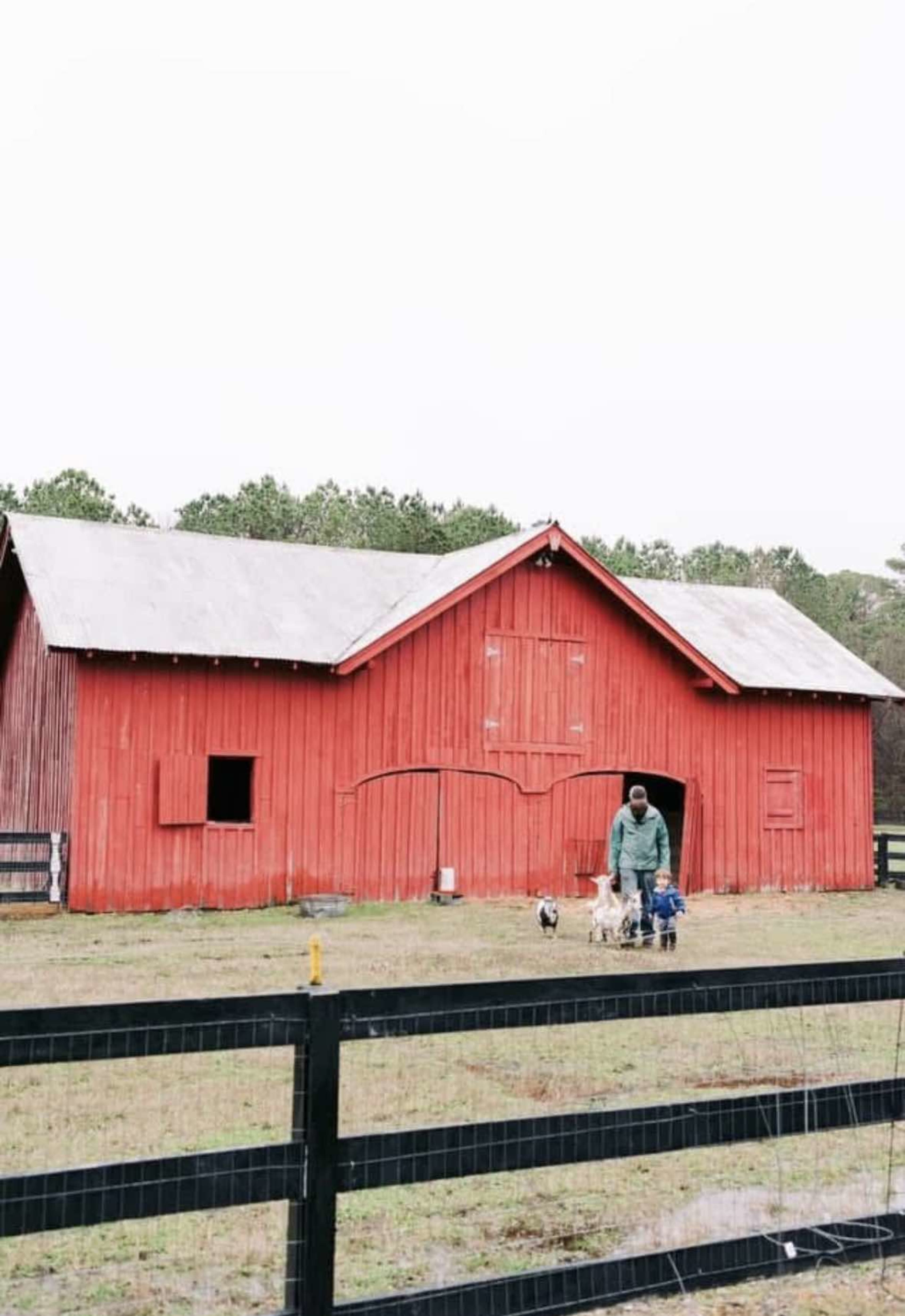 Working Farm with Goats Image in , Hayes, VA