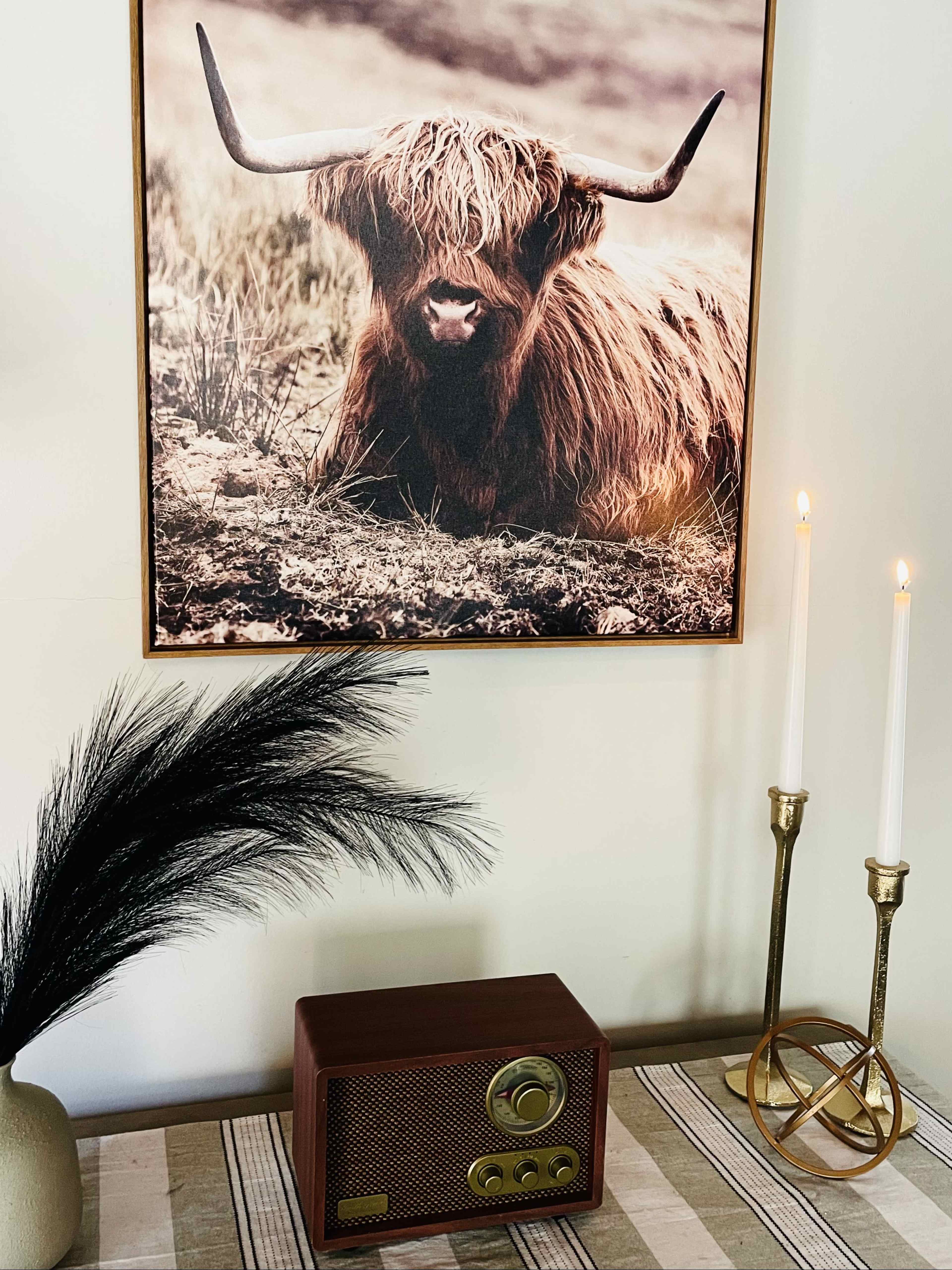 A vintage-style radio sits on a table beneath a framed portrait of a shaggy Highland cow, accompanied by decorative candles and a black feather arrangement.