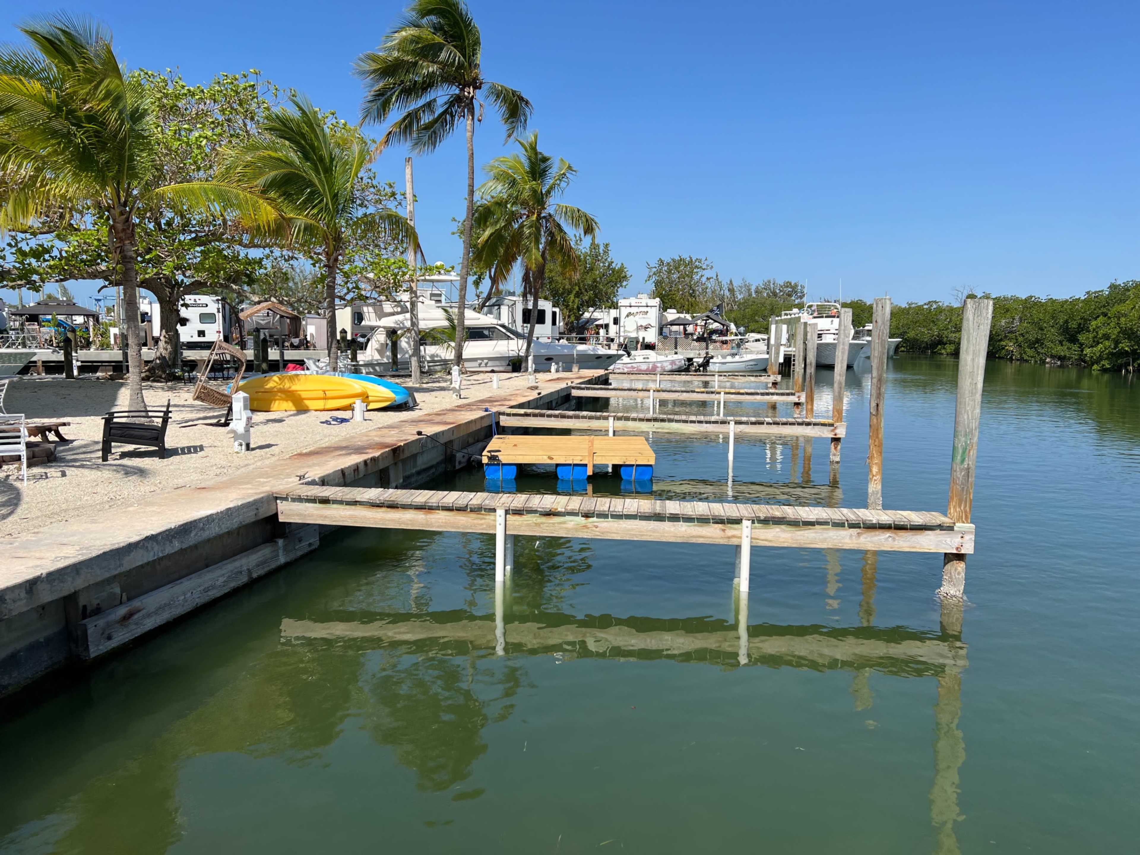 The image shows a pier with wooden docks extending over calm water, surrounded by palm trees and recreational boats in a marina setting.