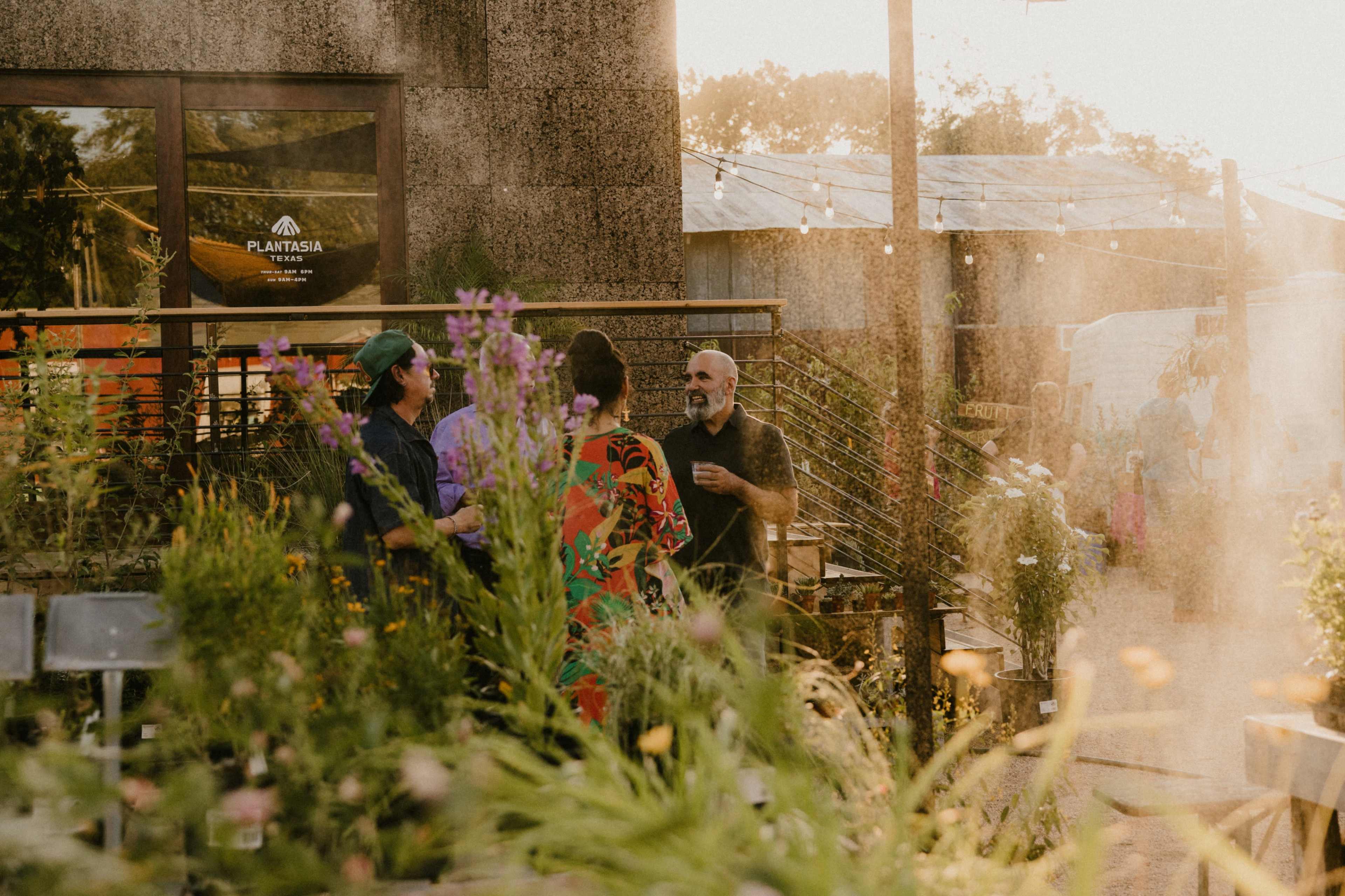 A group of people engage in conversation near a building surrounded by tall flowers and greenery during sunset.