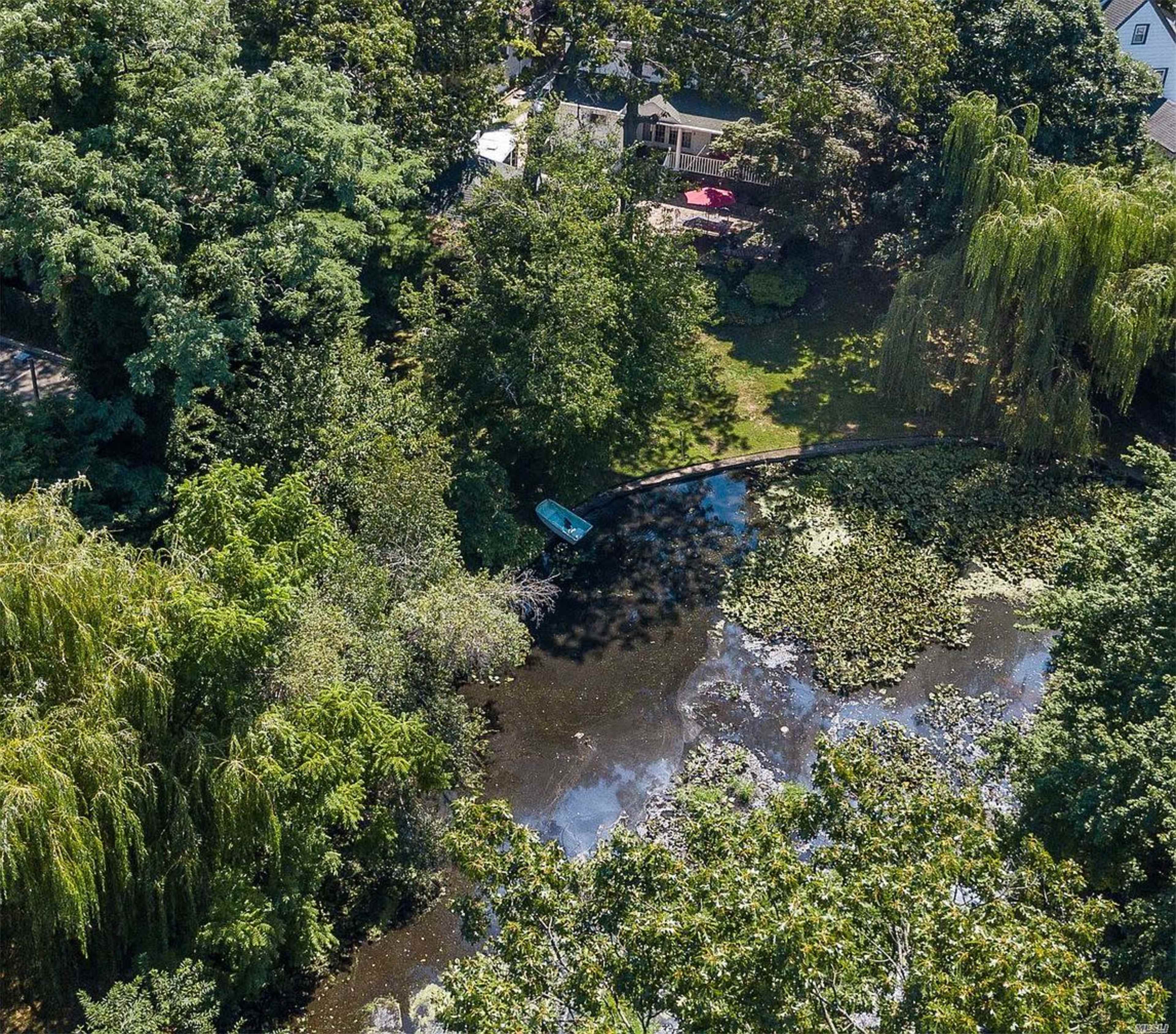 An aerial view shows a small blue boat on a winding waterway surrounded by dense greenery and lily pads.