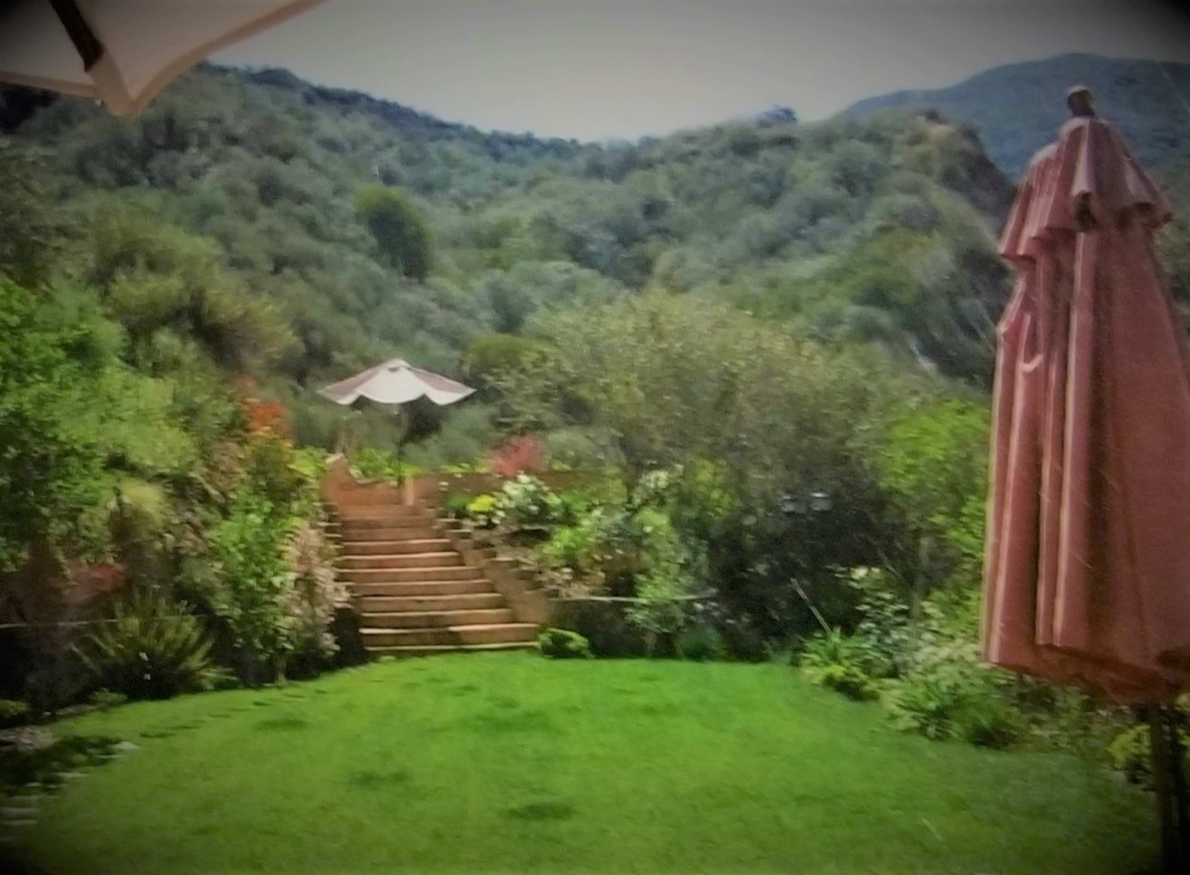 A lush green garden with a set of stone steps leading up to a shaded area featuring a canopy umbrella and surrounded by various plants and shrubs.