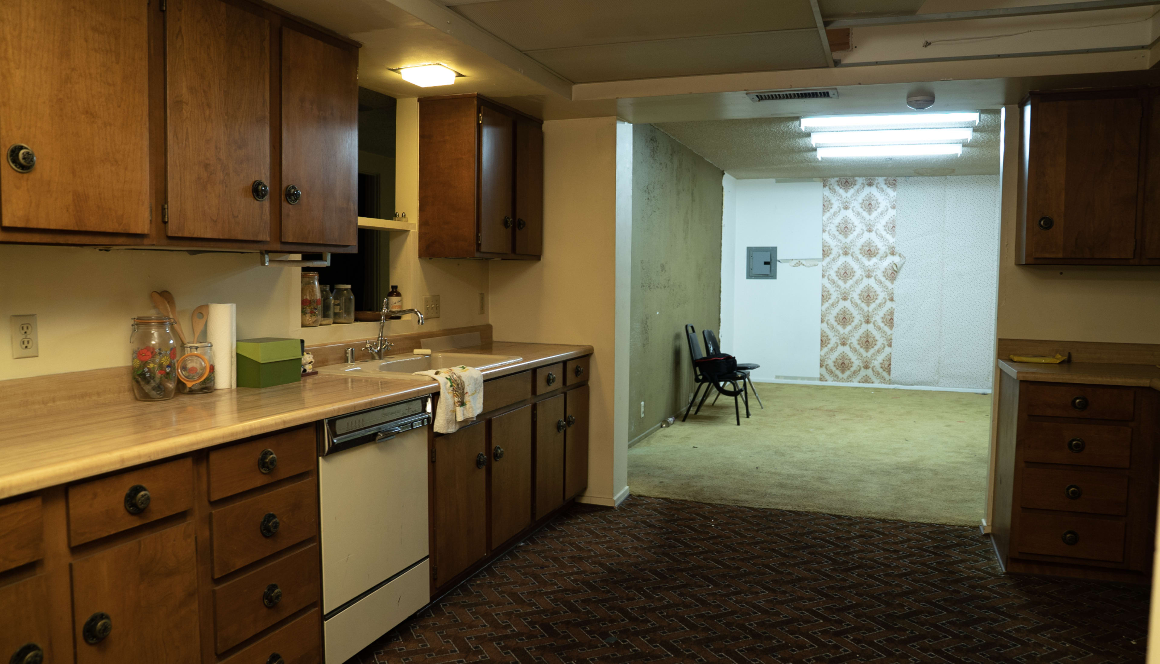 The image shows a kitchen with wooden cabinets and a countertop leading to a room with a green carpet and a wall featuring a patterned design.