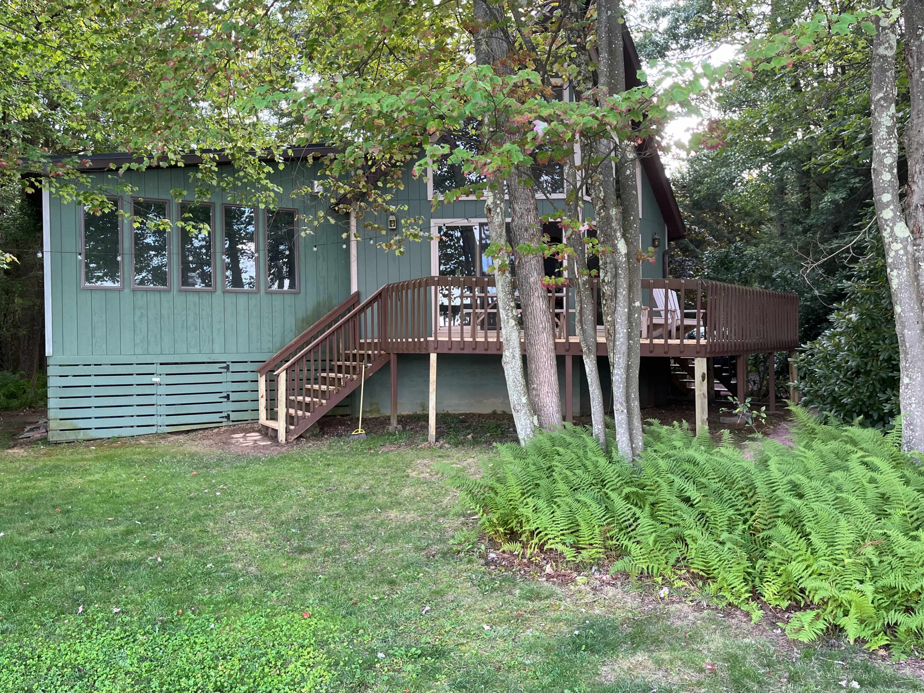 A wooden cabin with green siding and a raised deck is surrounded by trees and ferns in a grassy area.