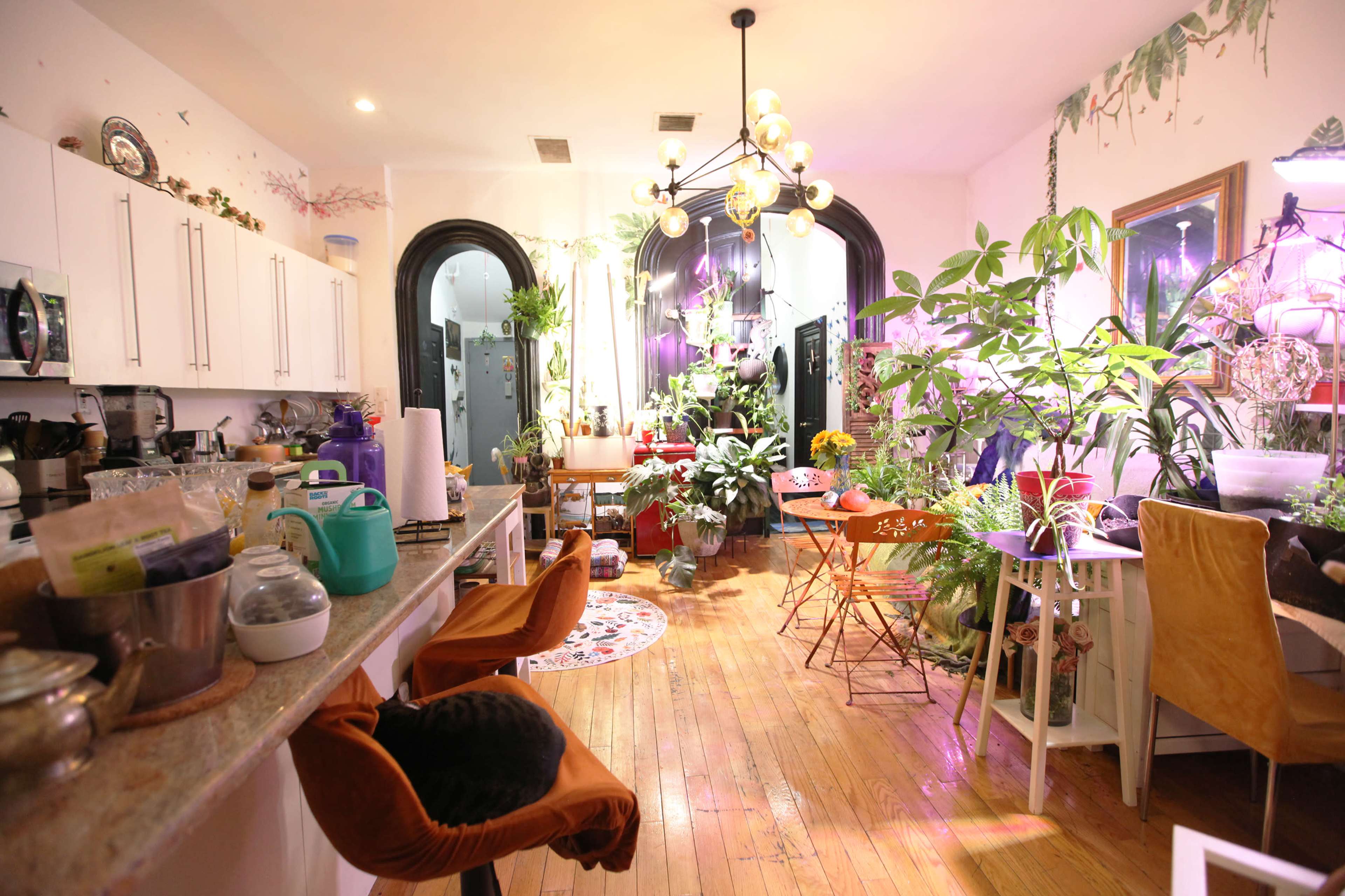 The image shows a brightly lit indoor space featuring a kitchen area with white cabinets, various plants scattered throughout, and a dining area with colorful chairs.