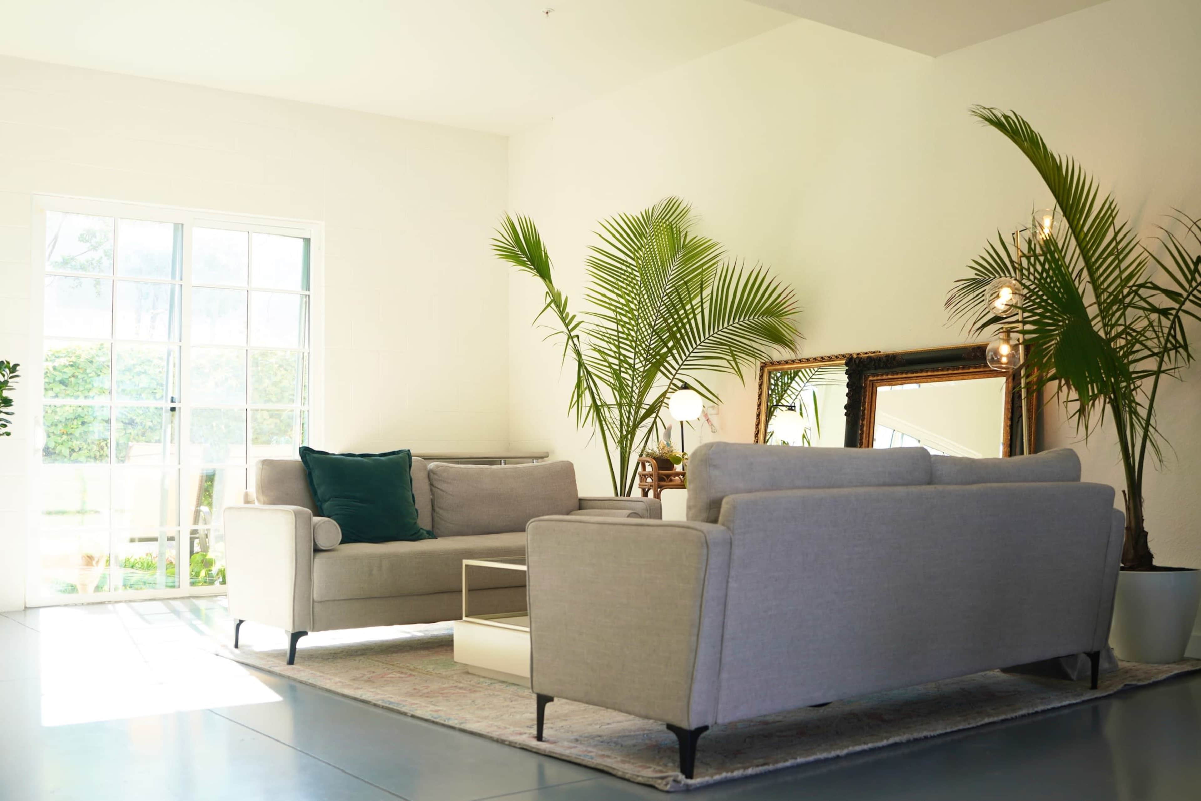 The image shows a light-filled living room with two gray sofas, a coffee table, and large windows revealing greenery outside.