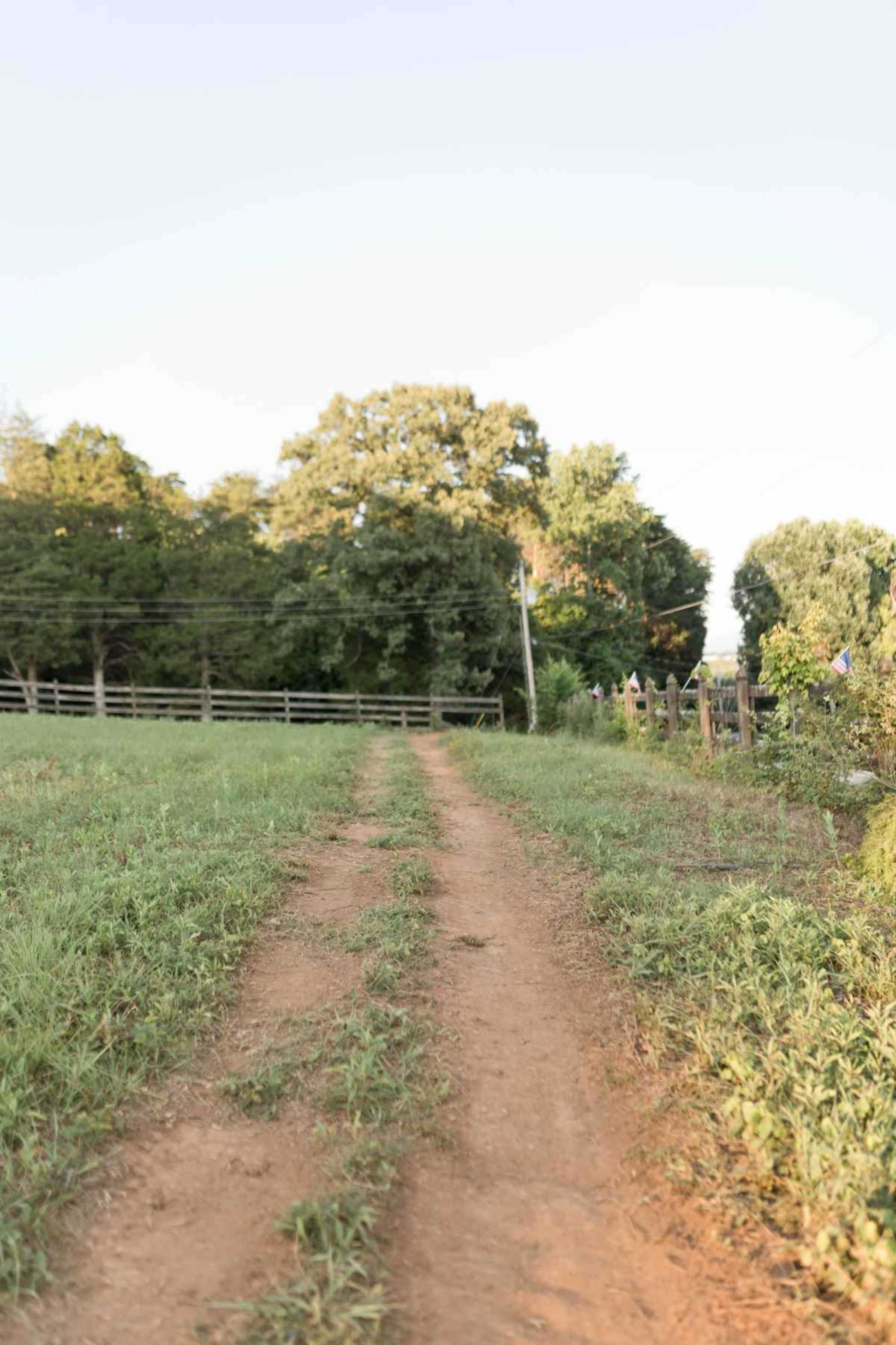 A dirt path leads through a grassy area toward a tree line, bordered by a wooden fence.