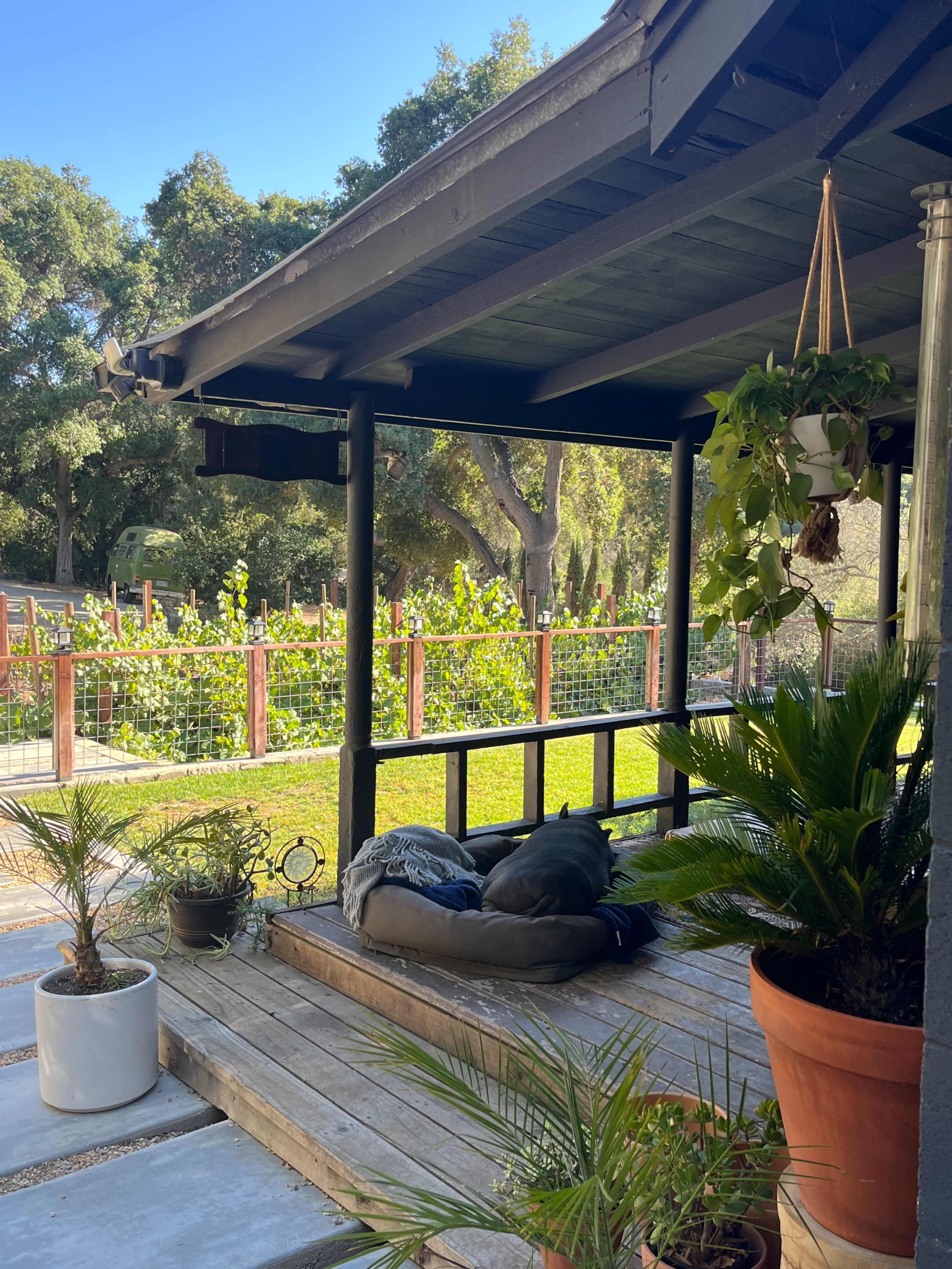 A wooden porch features a seating area with cushions, surrounded by potted plants and views of a garden beyond a fence.