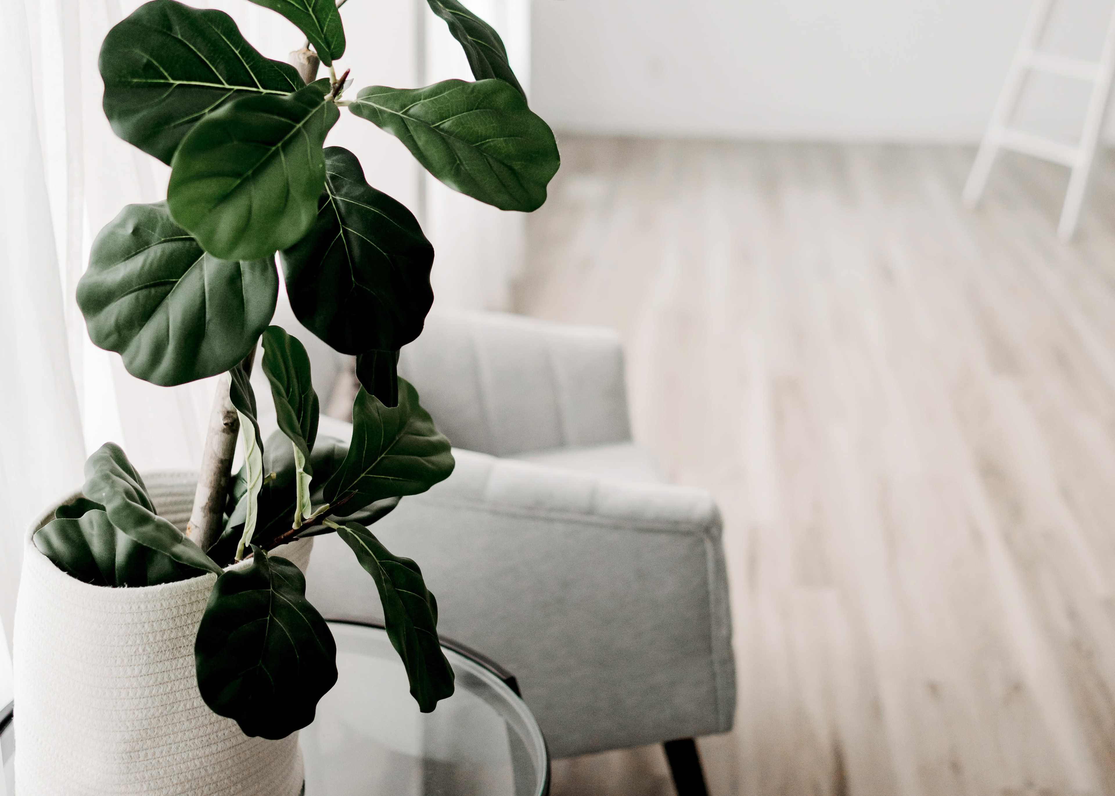 Your Go-To Studio with Cozy Vibes + Gorgeous Light Image in Sunset, Sunset, UT