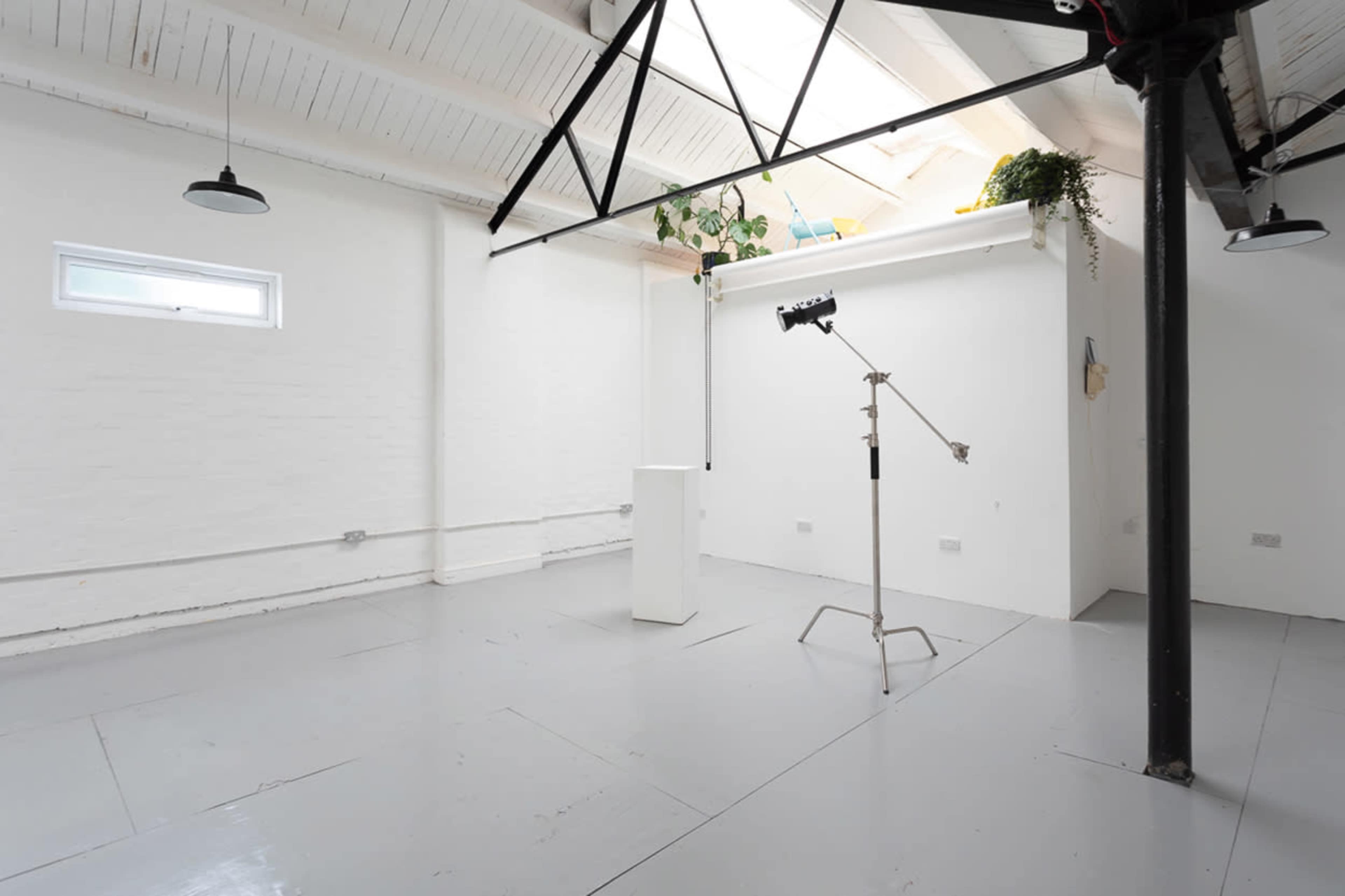 A spacious, minimalist studio with white walls, a light grey floor, and a tall plant placed on a ledge near a skylight.