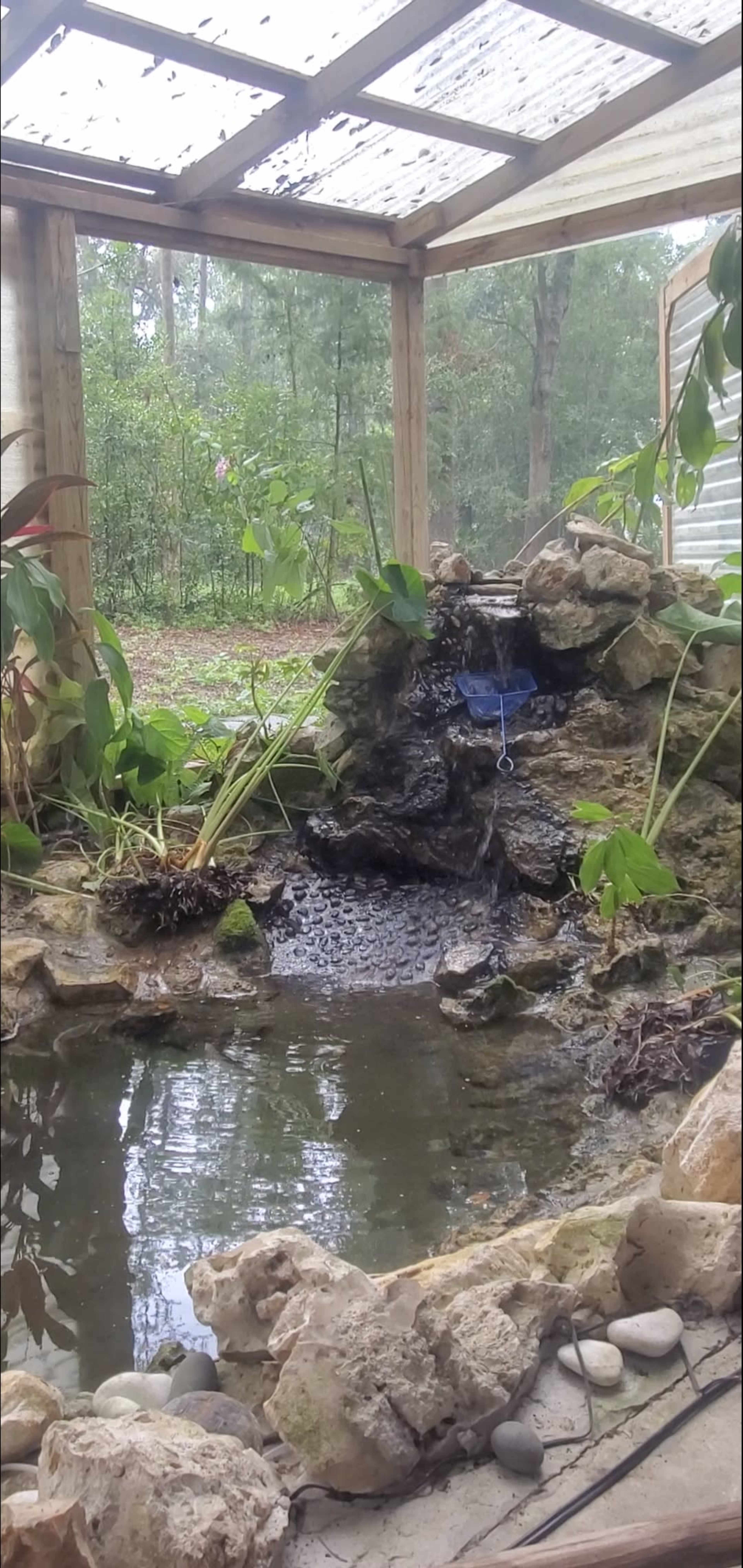 The image shows a tranquil garden scene featuring a rock water feature with a small waterfall flowing into a pond surrounded by lush greenery.