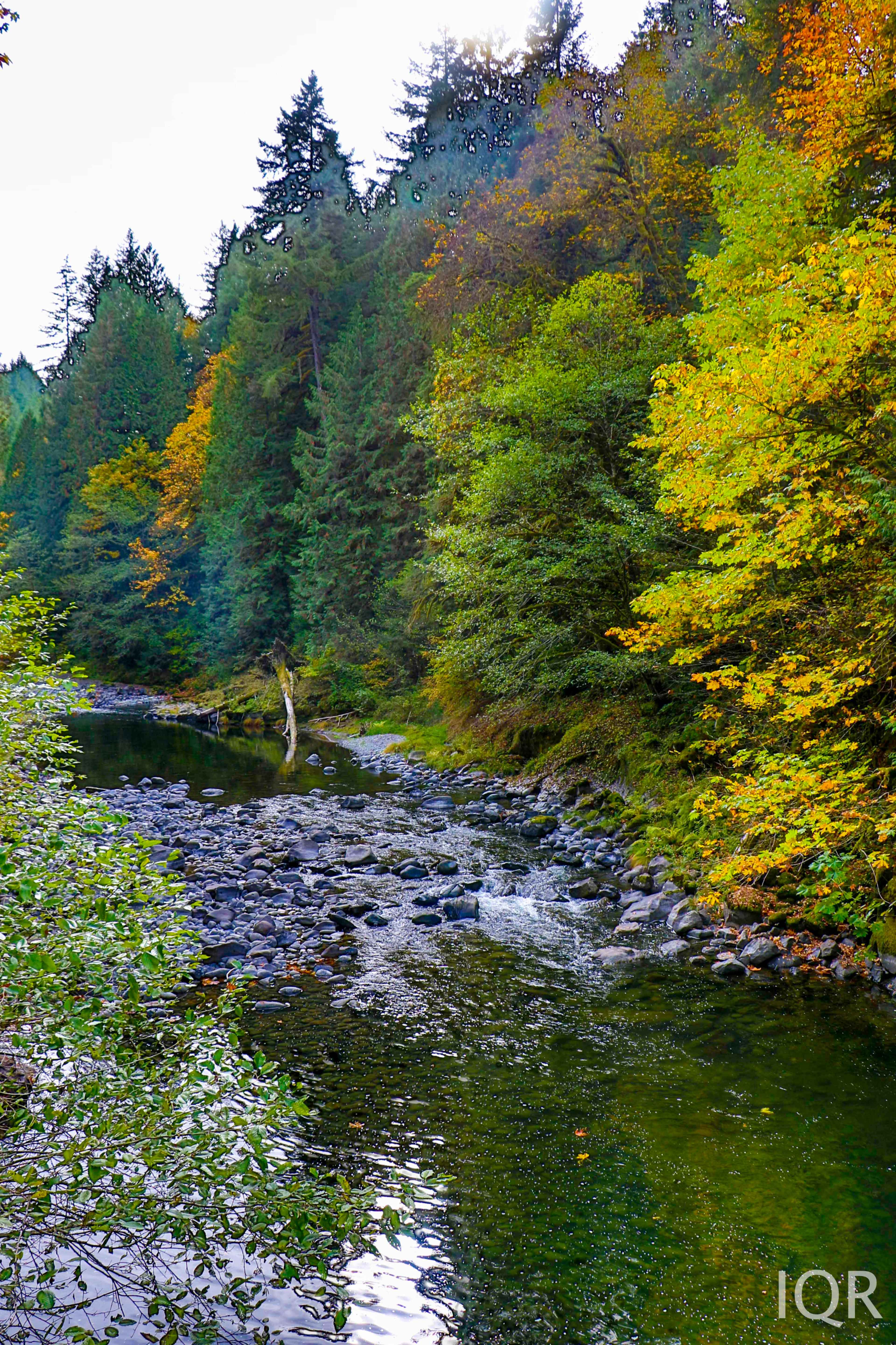 A winding river flows through a forested area with rocks and vibrant autumn foliage.