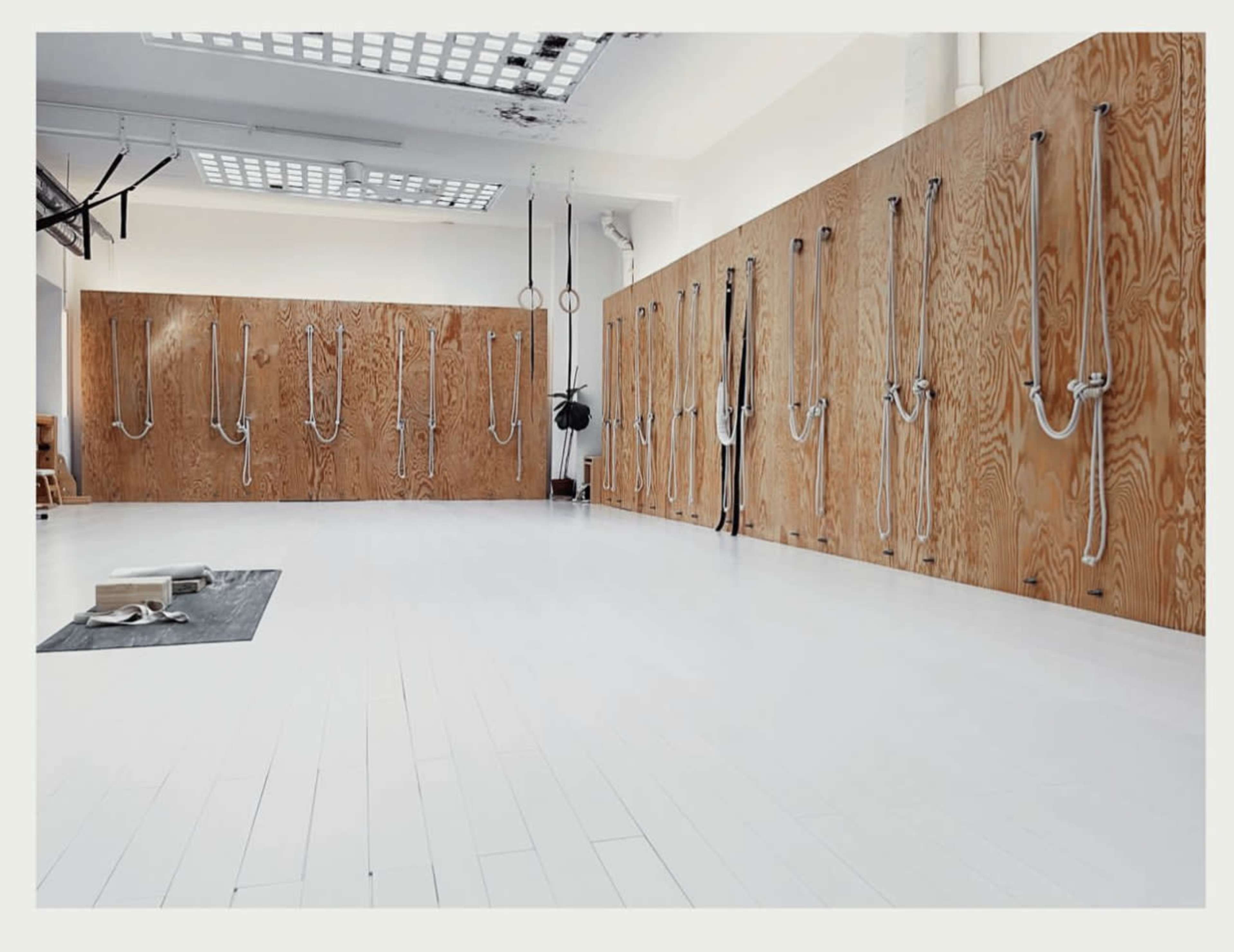 A spacious, modern exercise studio with wooden walls equipped with various ropes and rings for training.