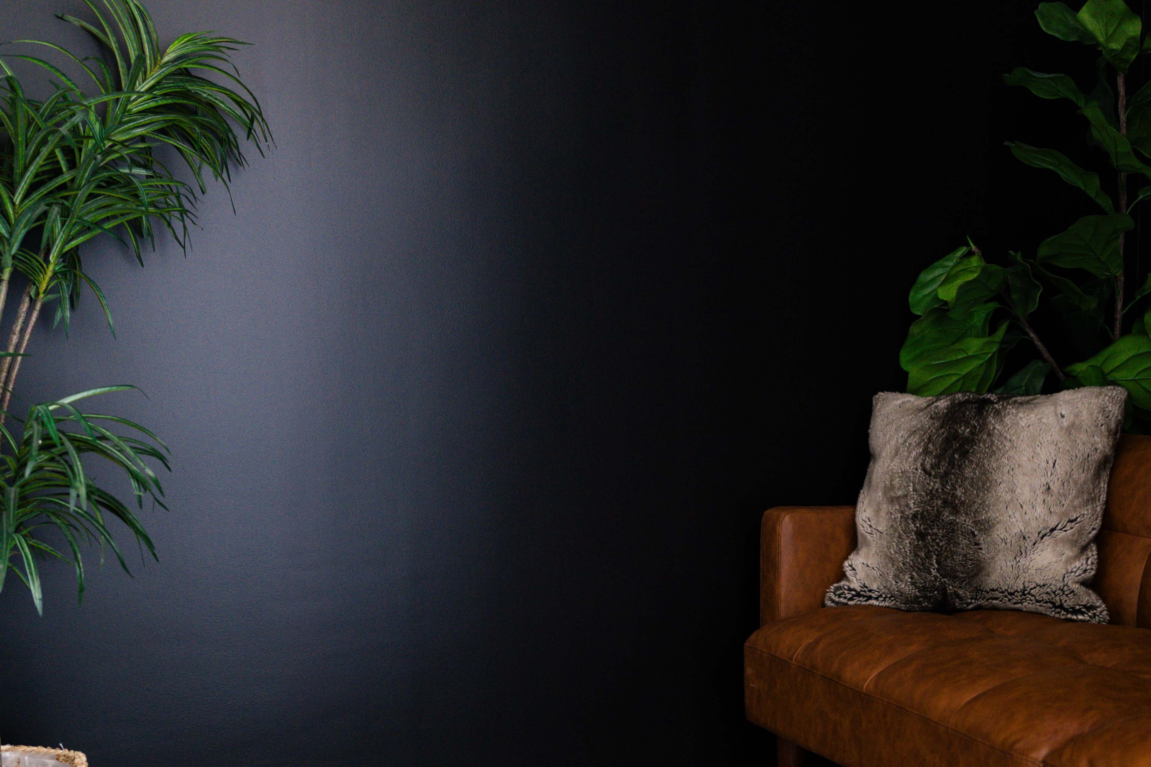 The image shows a brown leather sofa next to two green plants against a black wall.