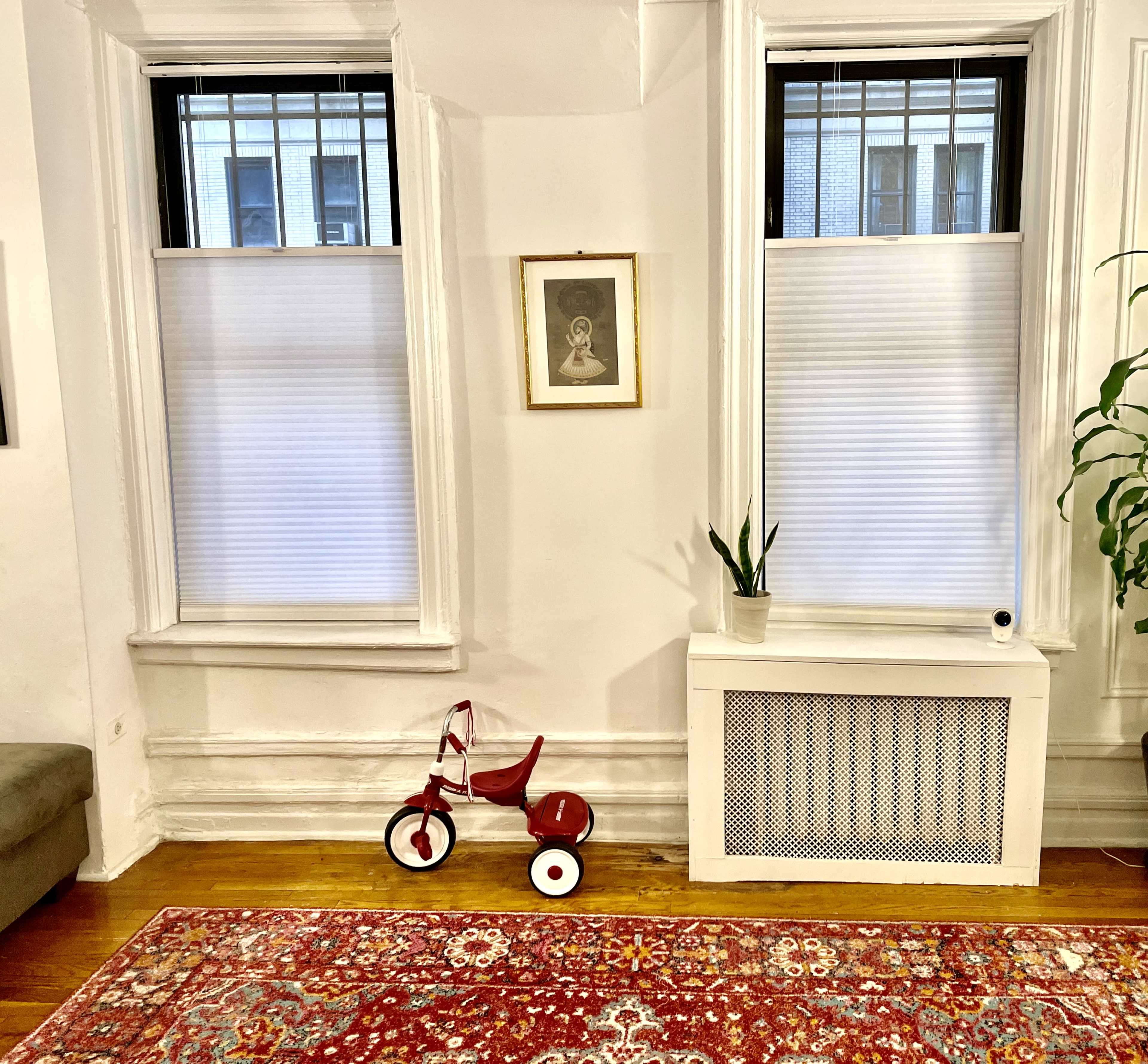 A room with two windows, a small red tricycle positioned beside a plant in a white pot, and a framed picture on the wall.