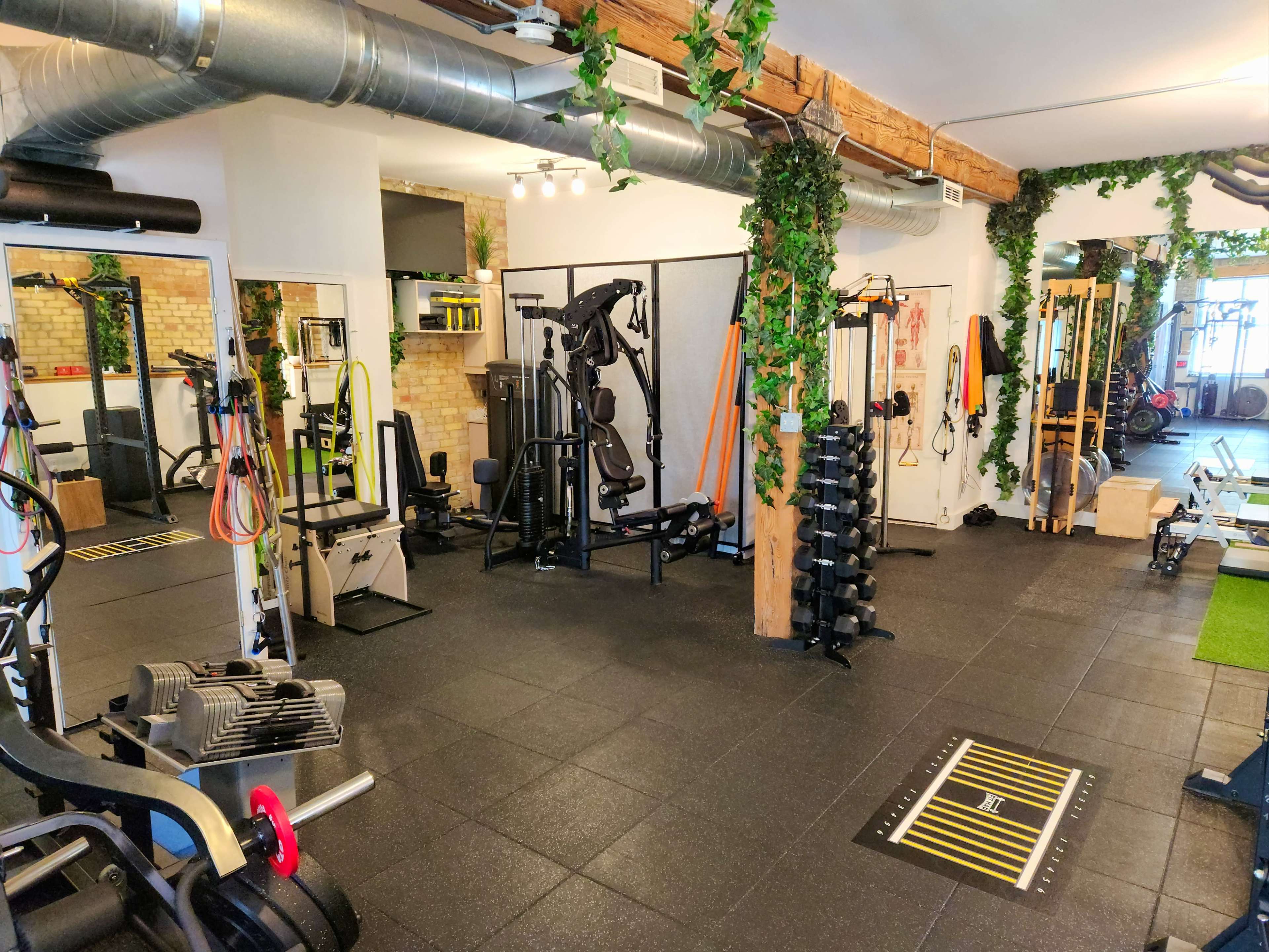 Fitness studio and gym in downtown Toronto Image in Trinity-Bellwoods, Toronto, ON