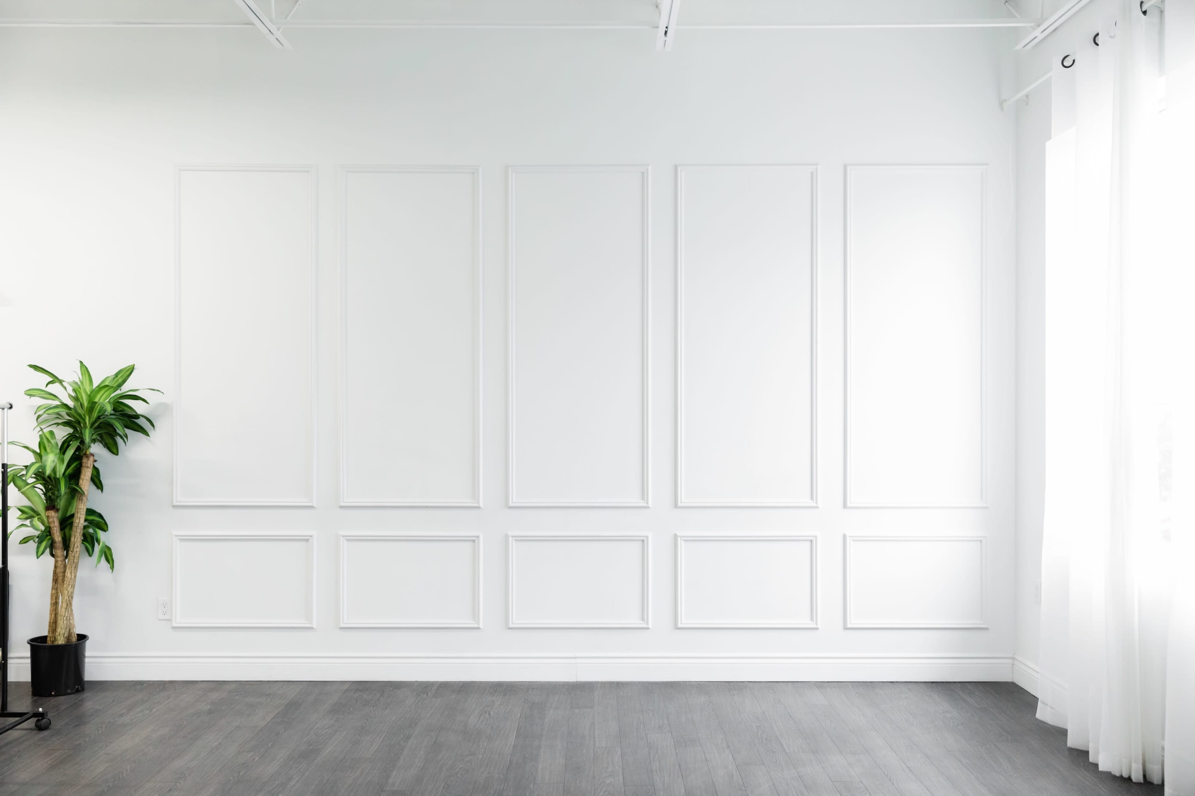 A bright, empty room features white walls with paneled molding and a potted plant in the corner.