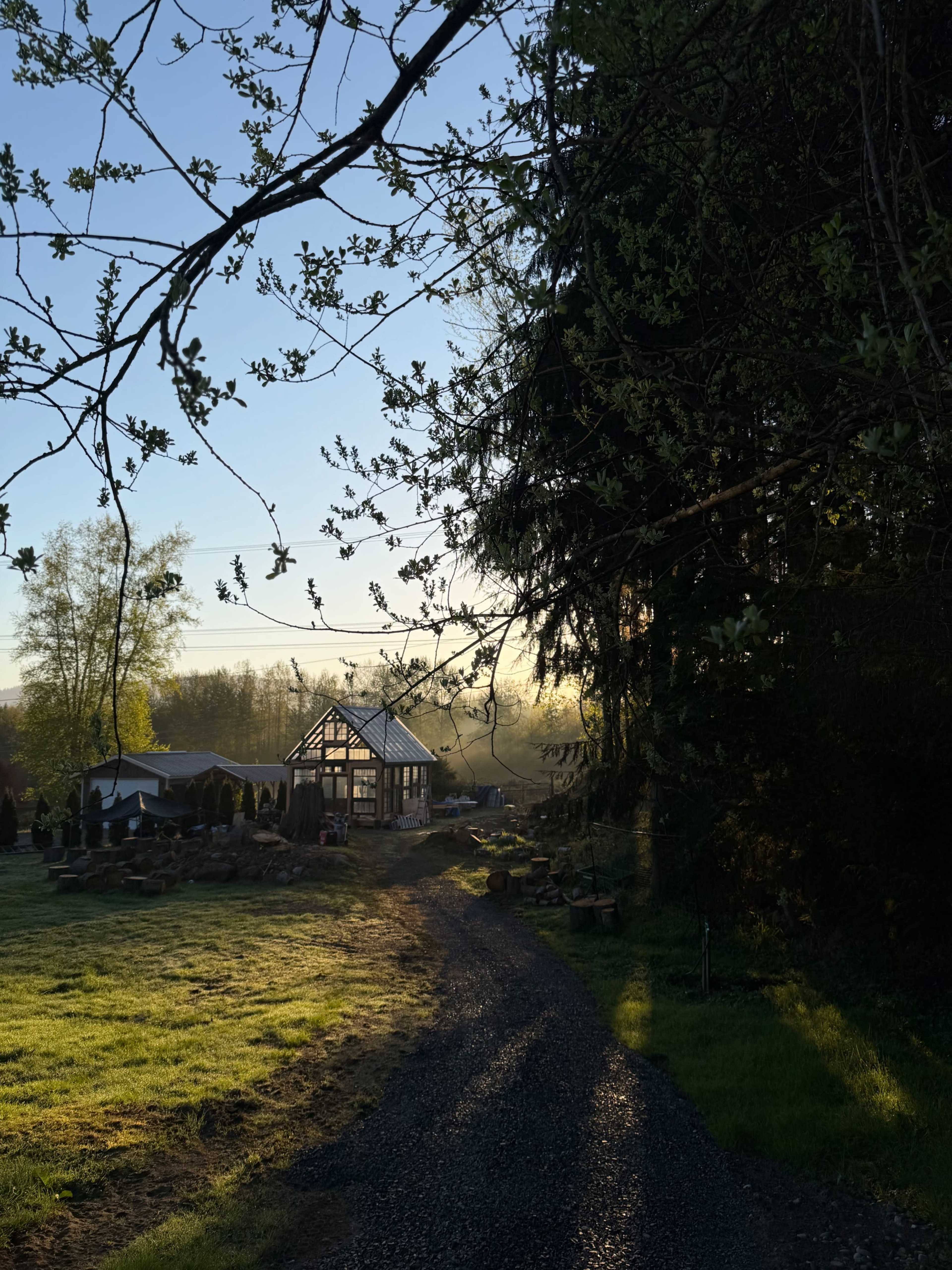 A gravel pathway leads towards a partially constructed greenhouse surrounded by trees and misty fields in the early morning light.