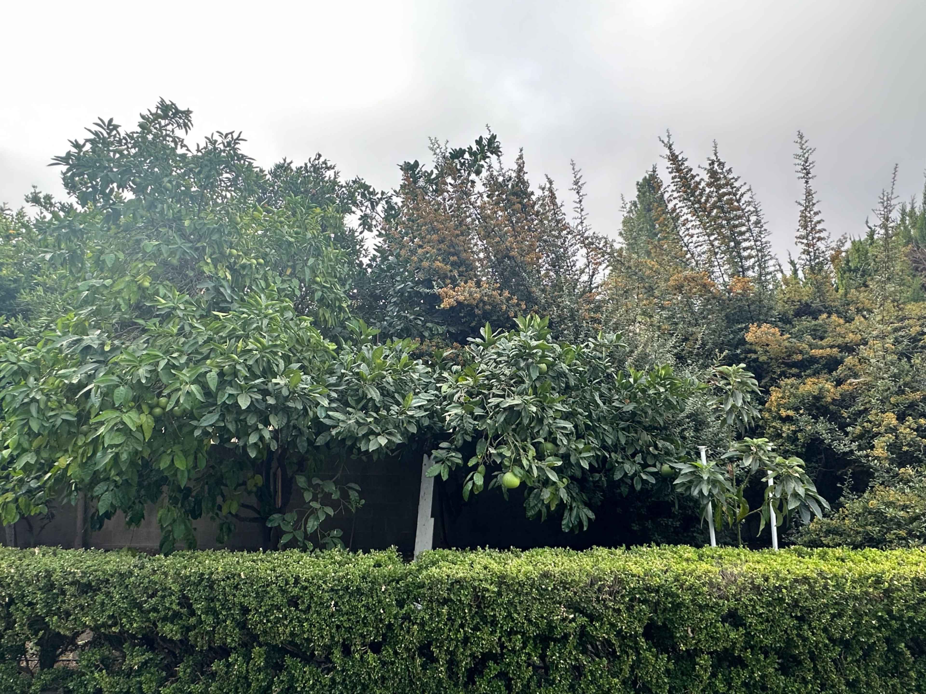 The Historic Grove Estate Image in Upland, Upland, CA