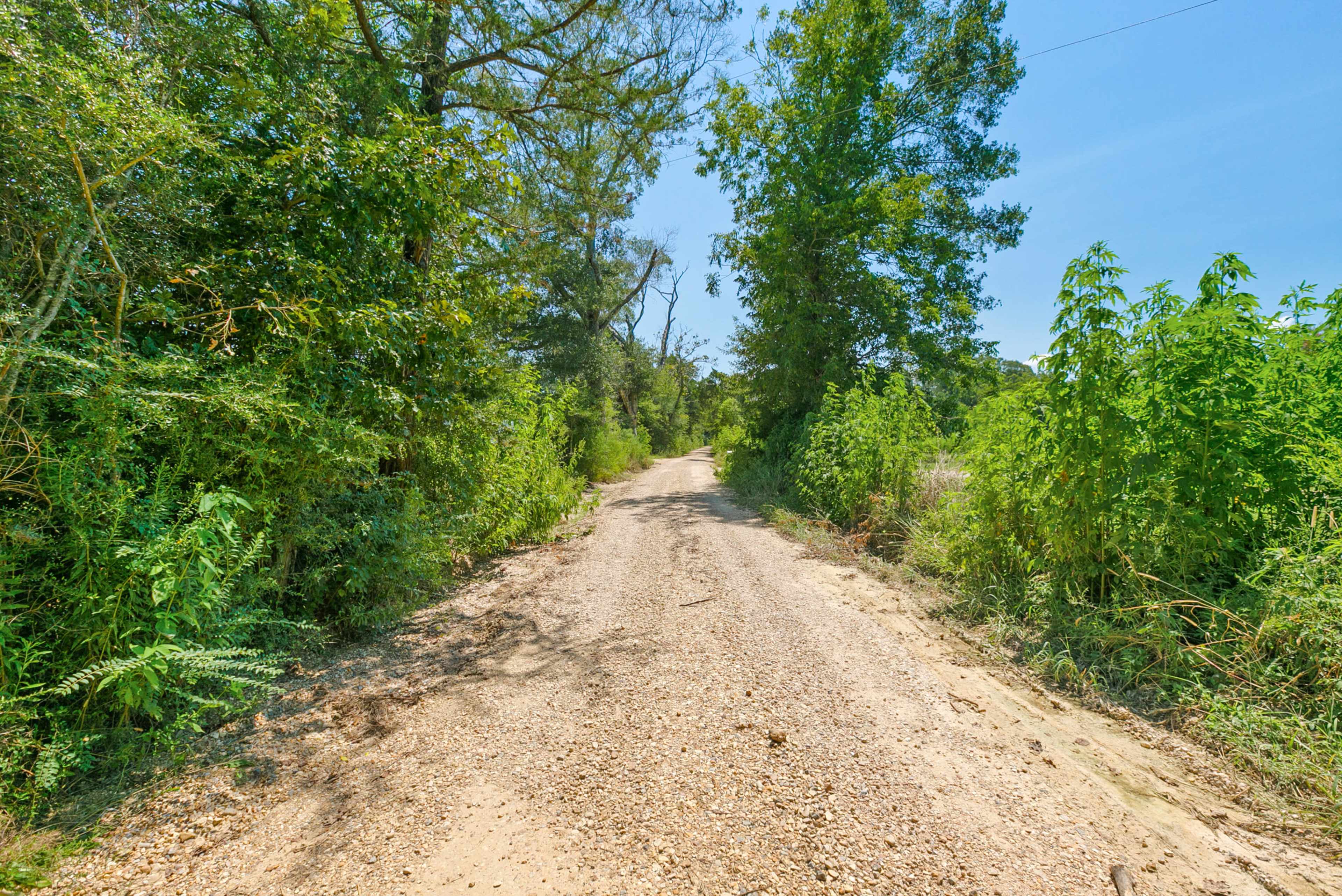 A dirt road lined with greenery stretches into the distance under a clear sky.