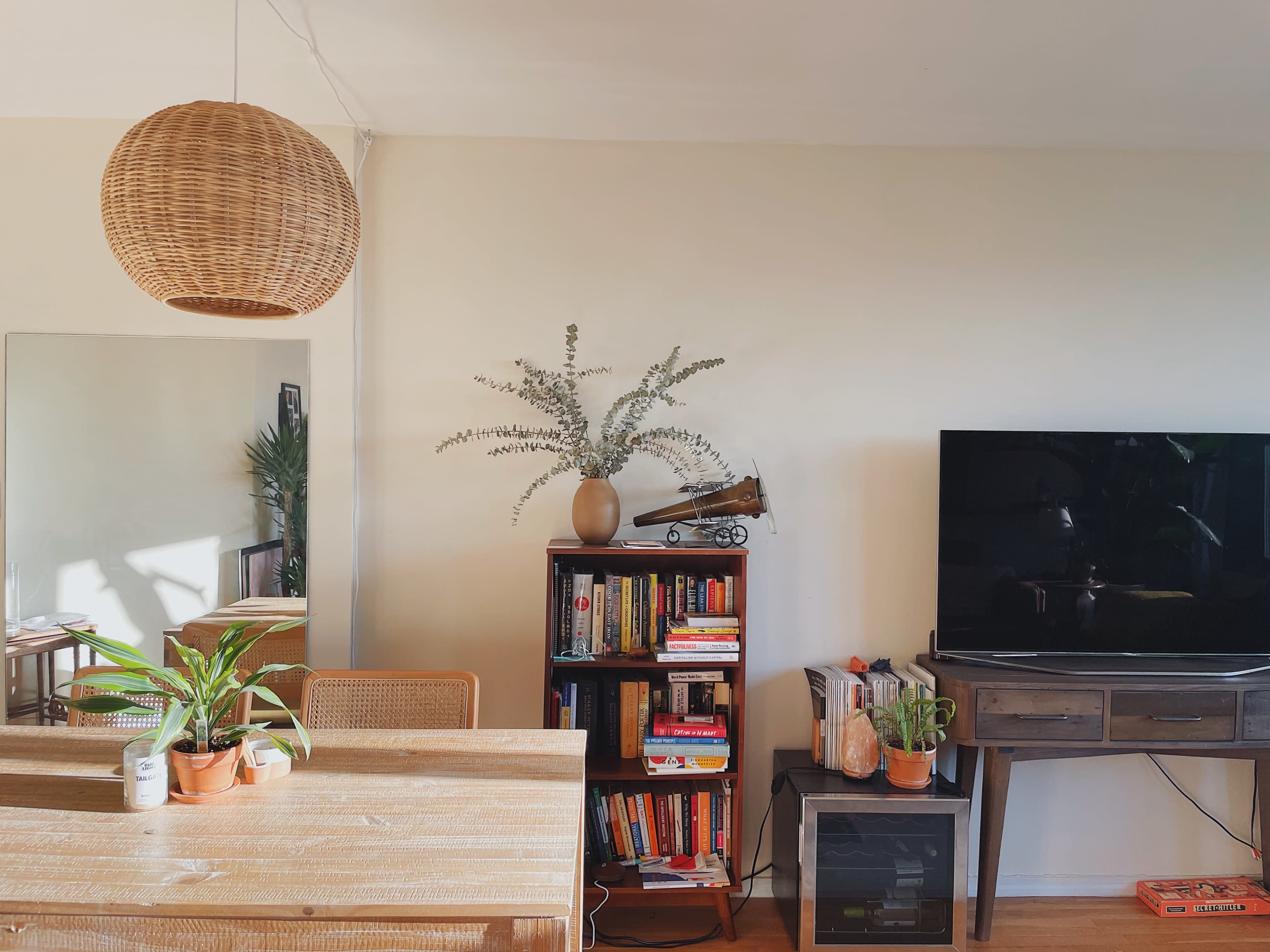 A cozy living space with a wooden dining table, a bookshelf filled with books, a television, and a plant on a side table, complemented by a large pendant light and a mirror.
