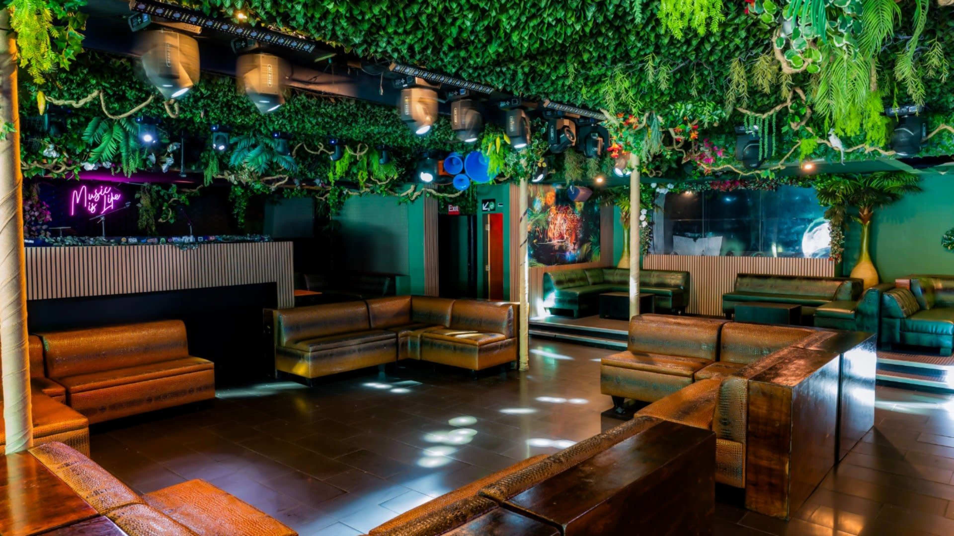 A lounge area adorned with greenery overhead, featuring wooden seating arranged around a spacious dance floor.