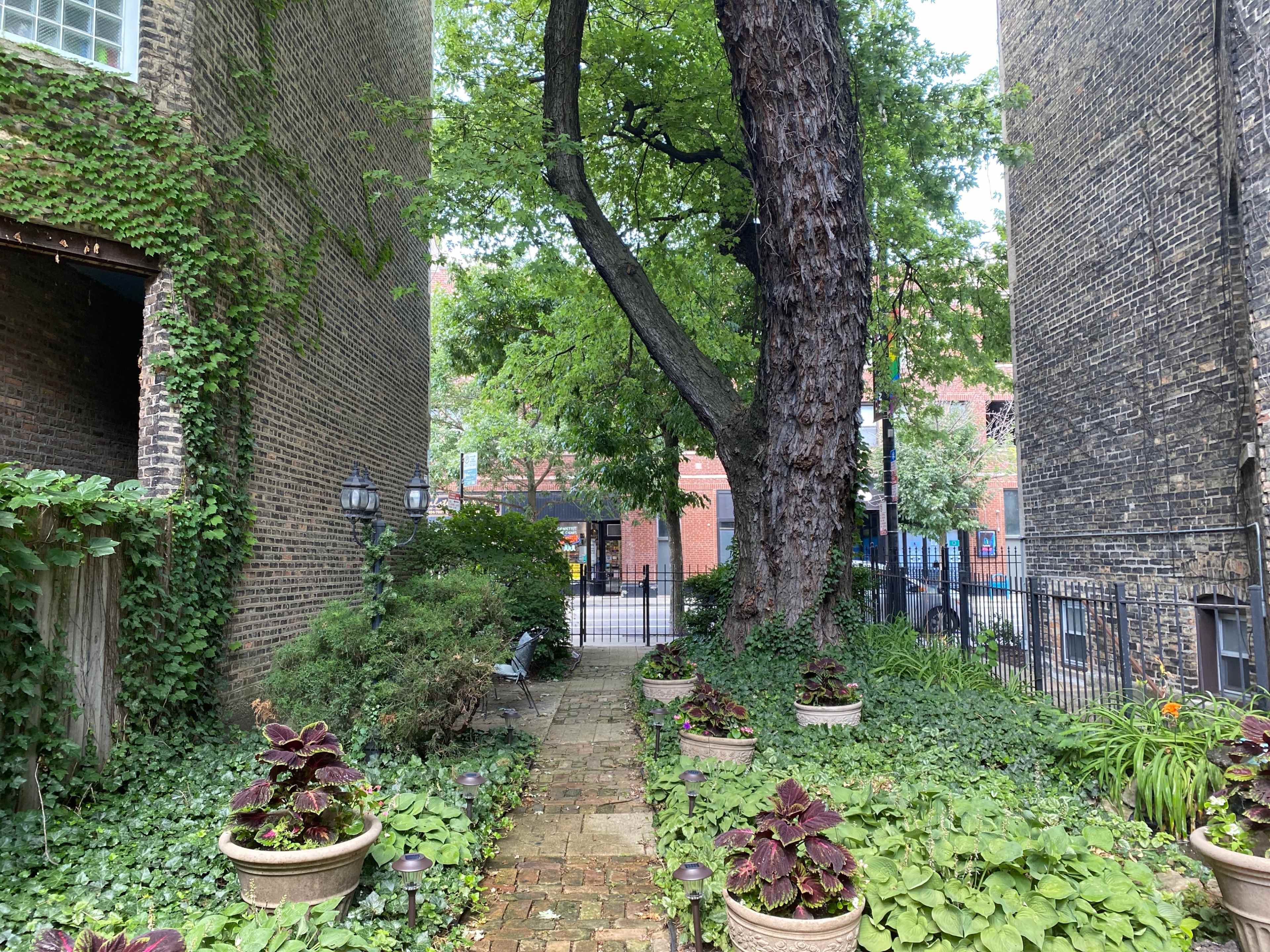 A narrow walkway lined with planters and greenery leads to a fenced area with a street visible in the background.