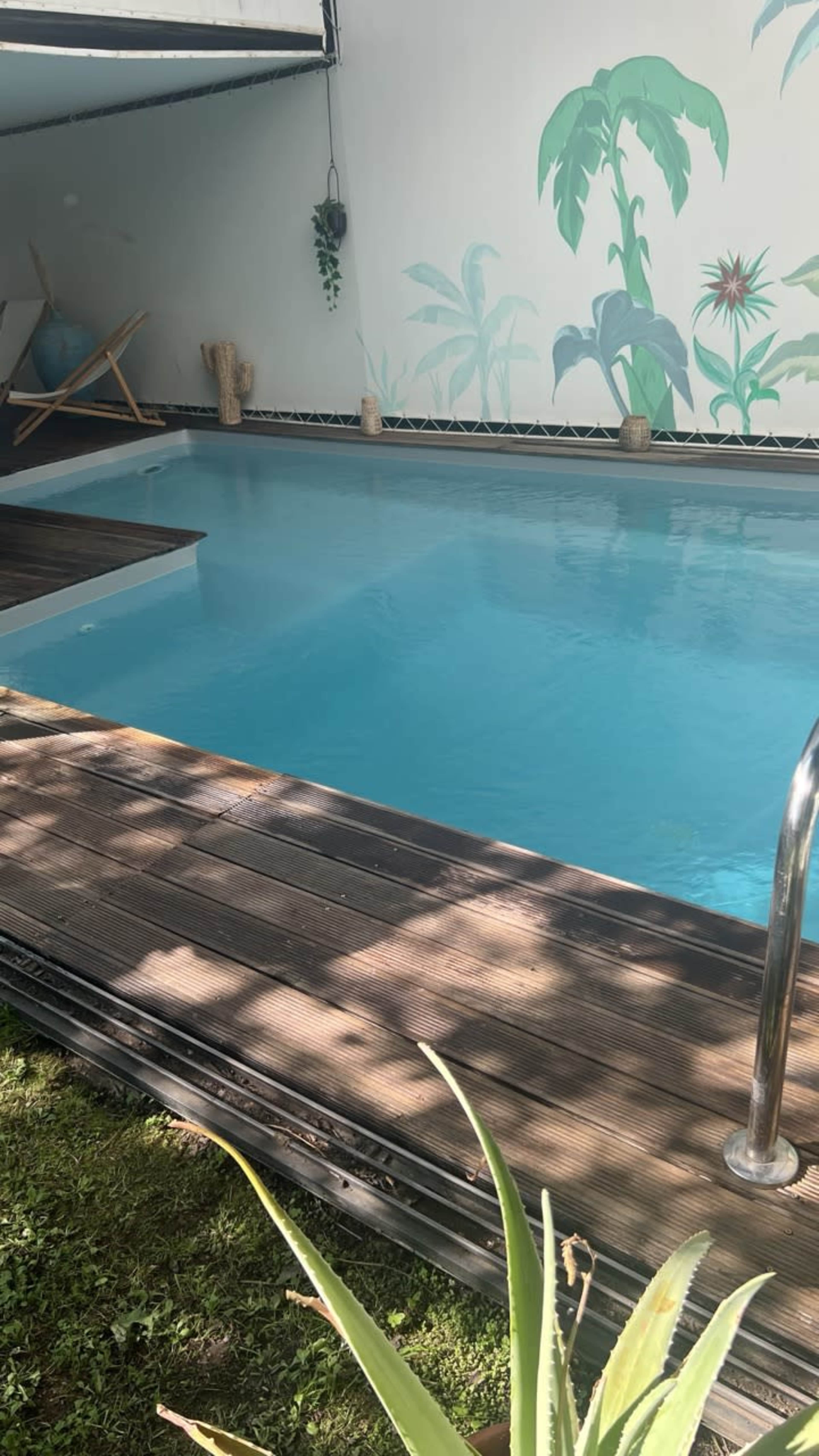 A rectangular swimming pool with clear blue water is situated next to a wooden deck and a mural of tropical plants on the wall.