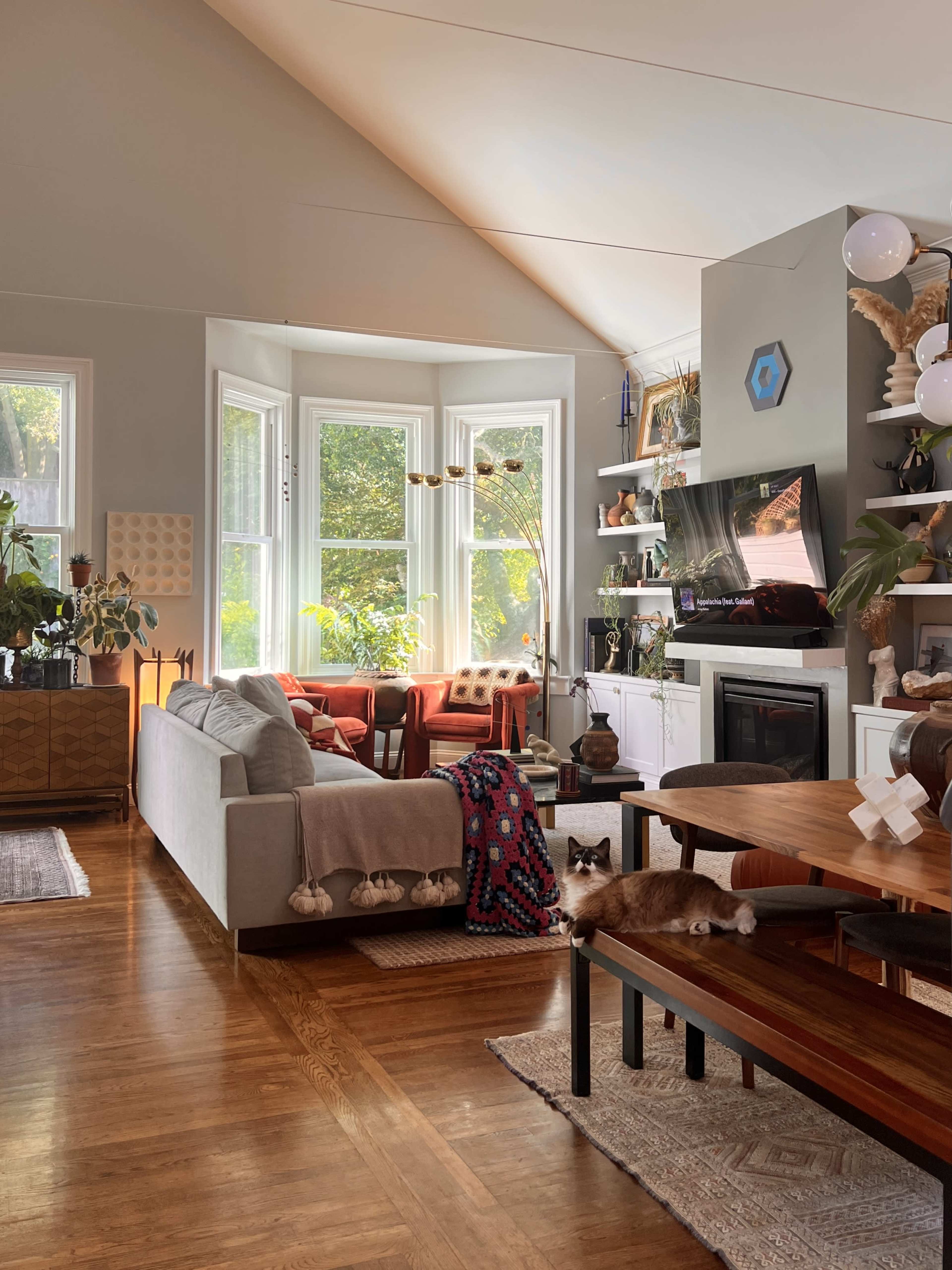 A bright living room with large windows, a mix of modern and vintage furniture, and a cat lying on a wooden table.