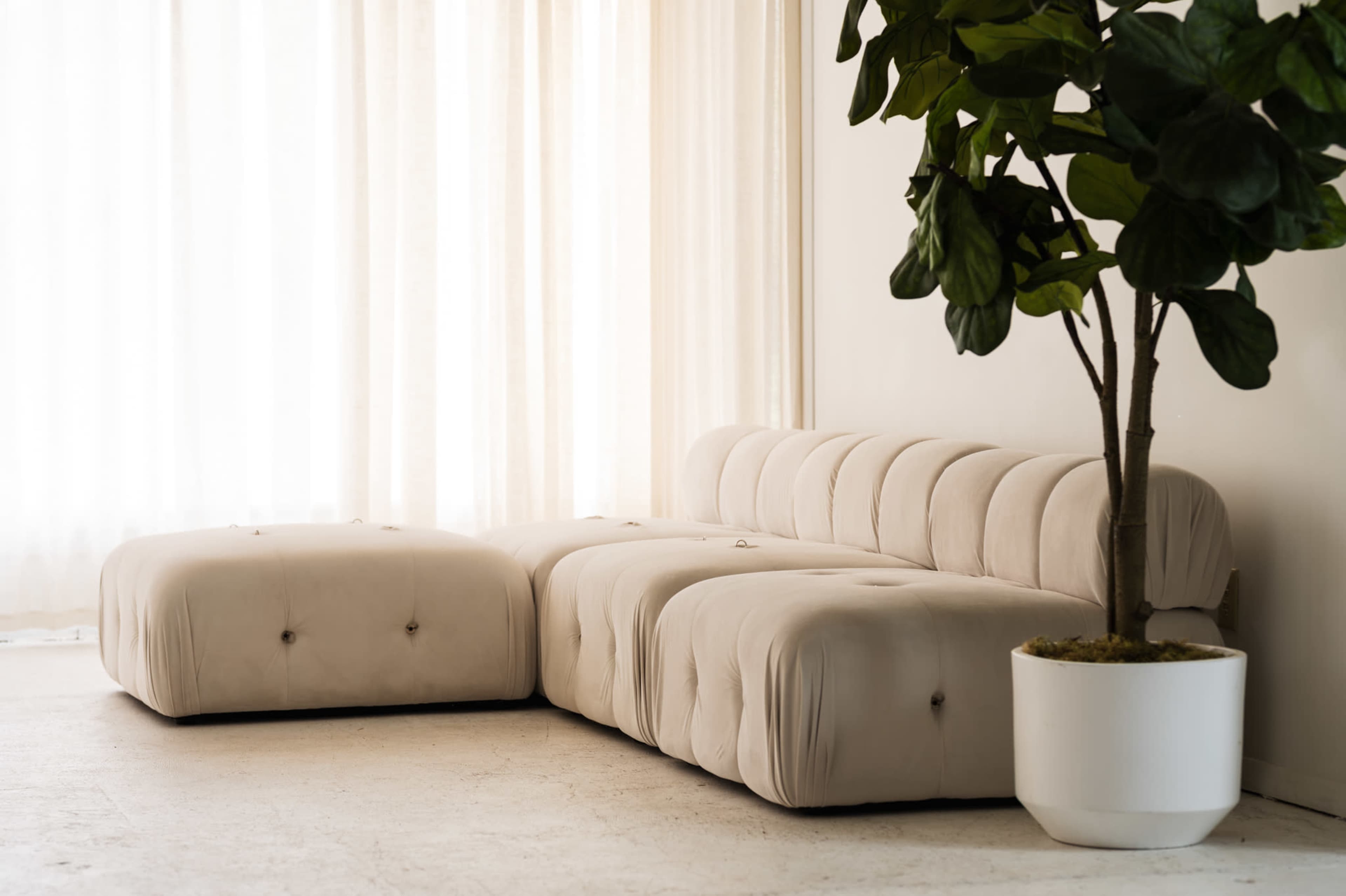 A light-colored sectional sofa and a matching ottoman are positioned beside a potted plant, with sheer curtains allowing soft light to filter into the room.