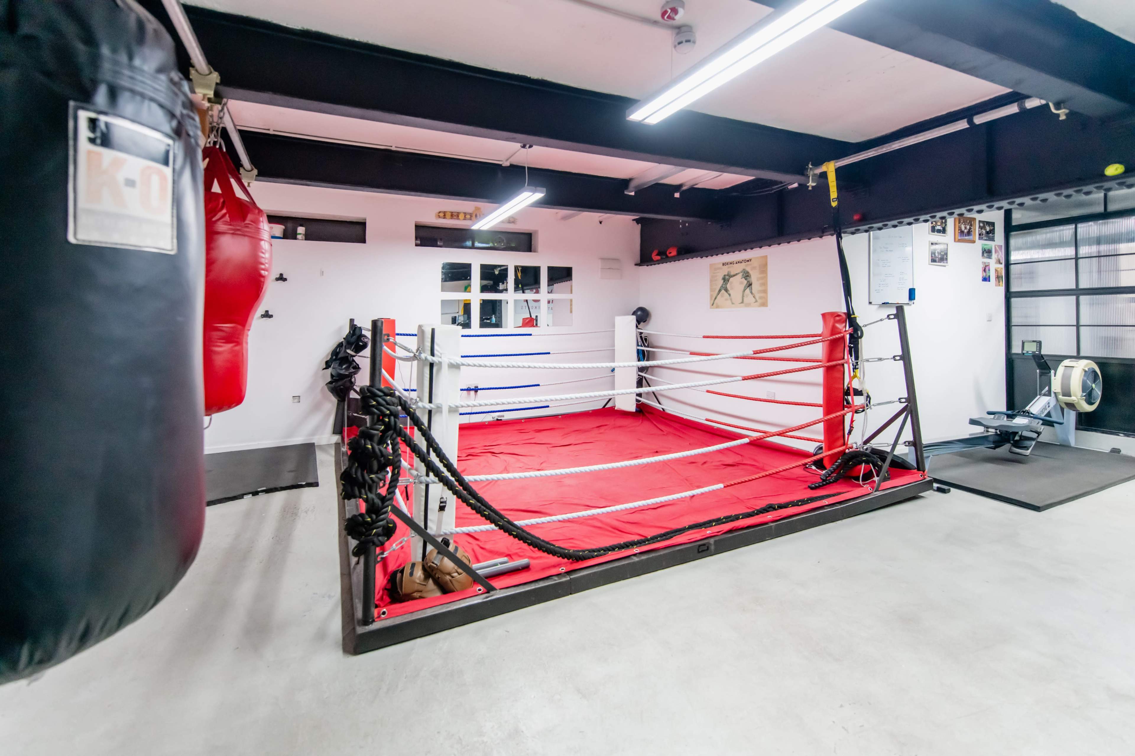 A boxing training gym with a red boxing ring in the center and punching bags hanging on the walls.