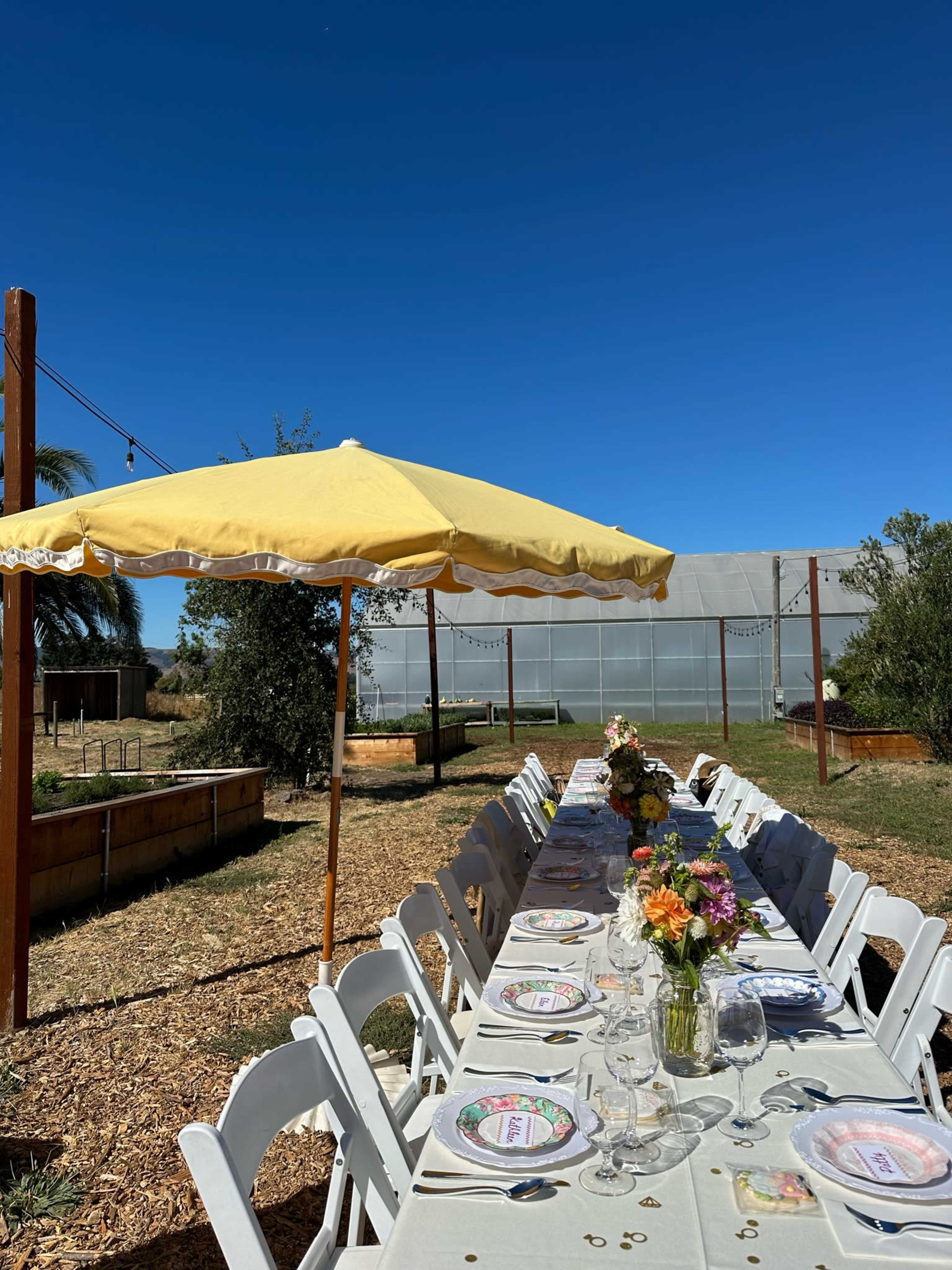 A long dining table is set outside under a yellow umbrella, surrounded by greenery and a greenhouse in the background.